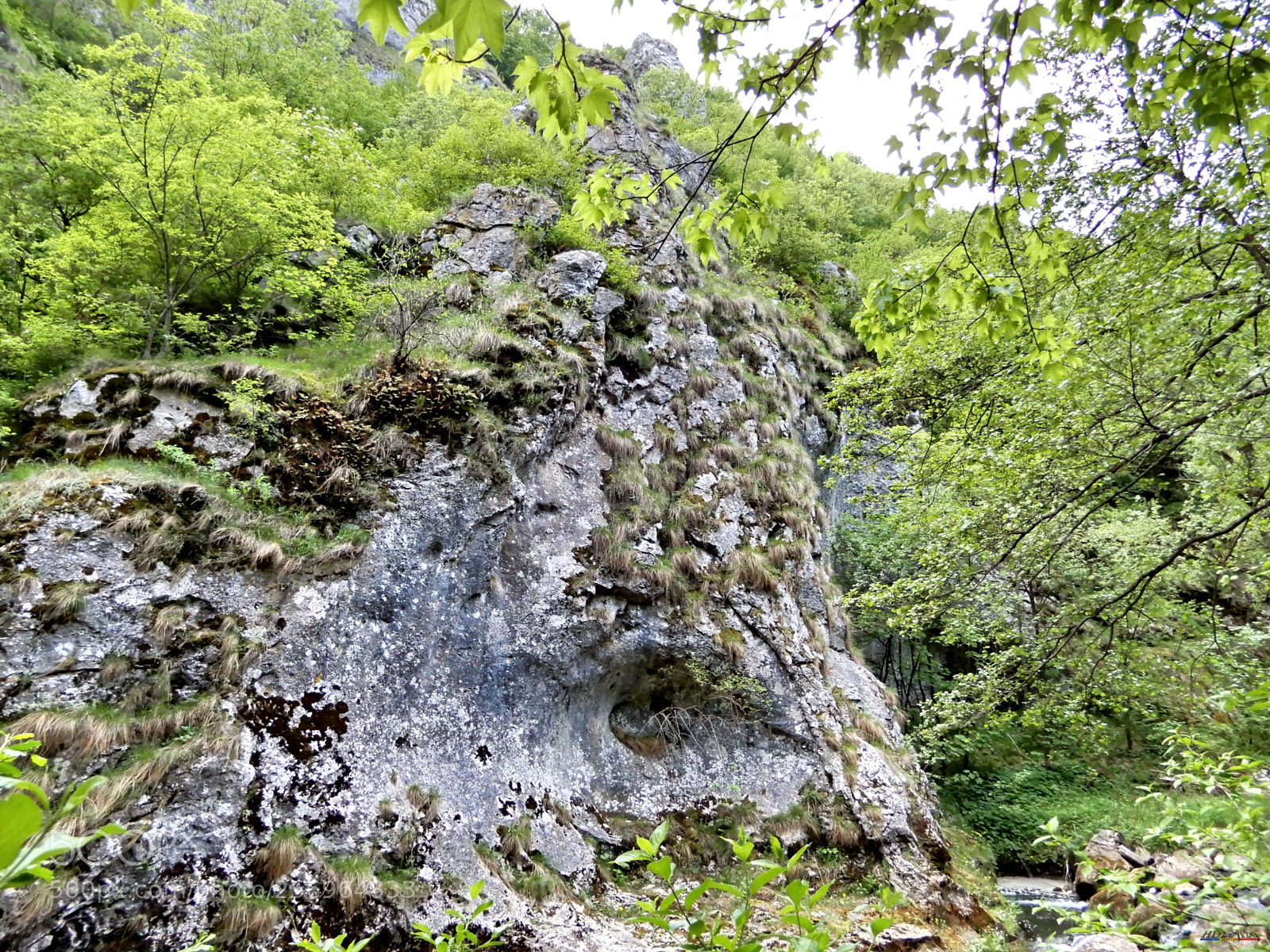 Nikon Coolpix A900 sample photo. Cheile turzii photography