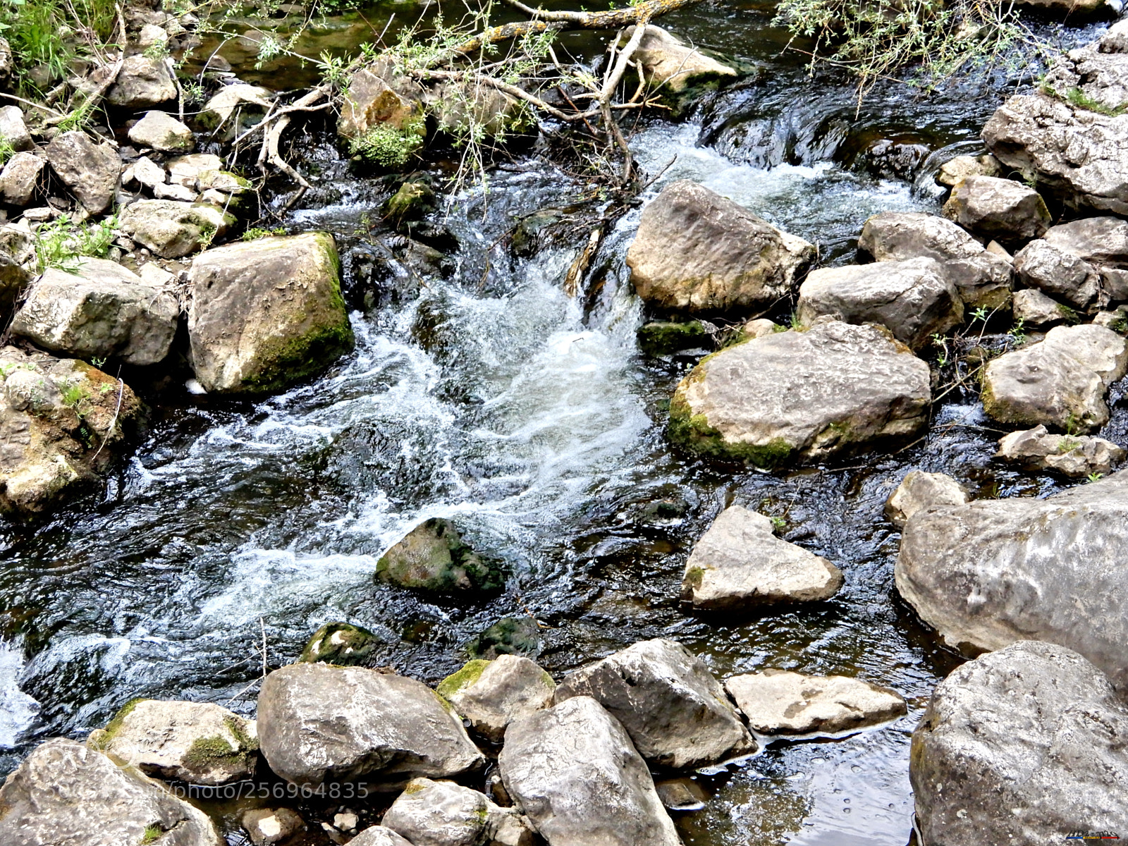 Nikon Coolpix A900 sample photo. Cheile turzii photography