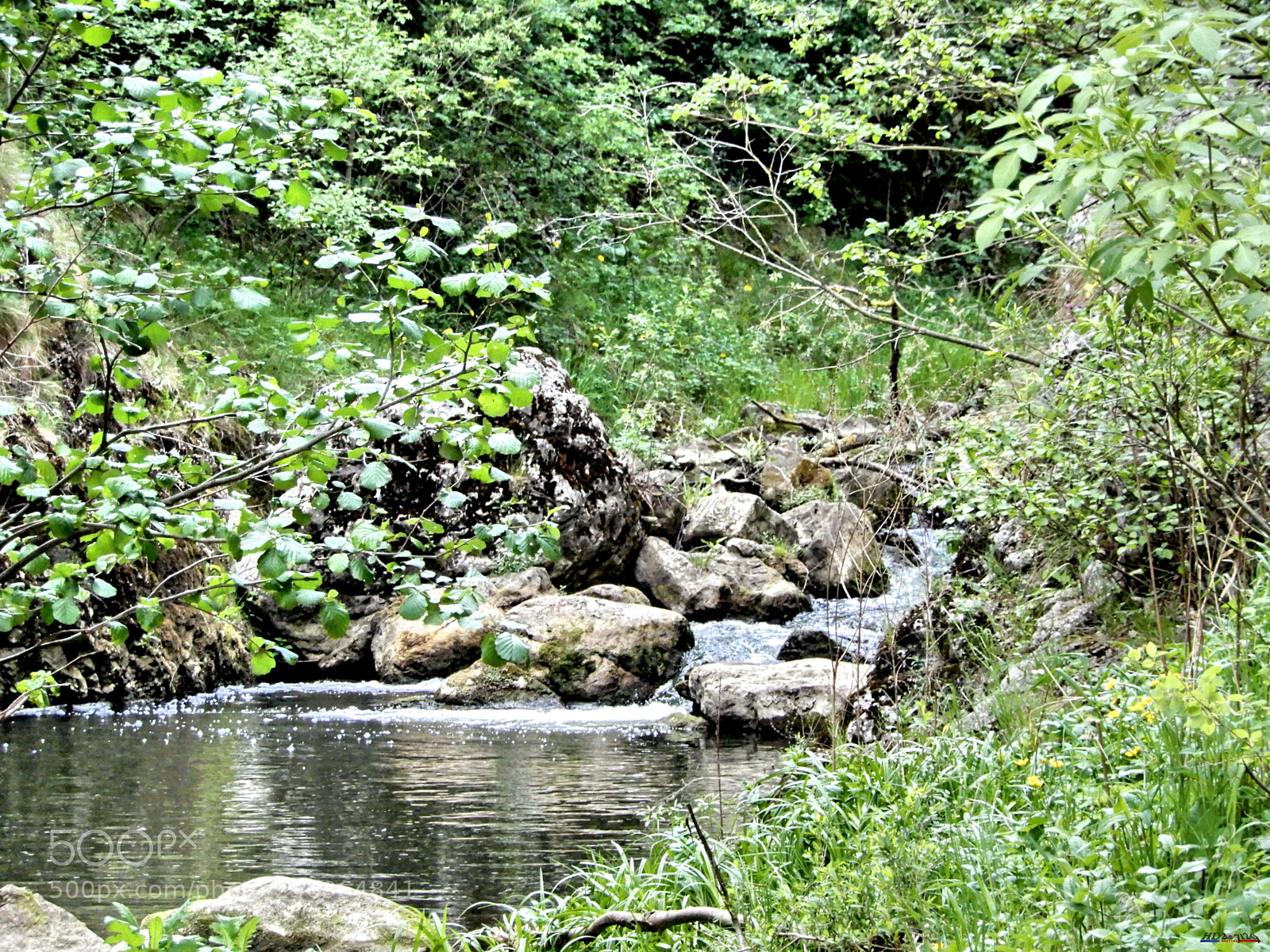 Nikon Coolpix A900 sample photo. Cheile turzii photography