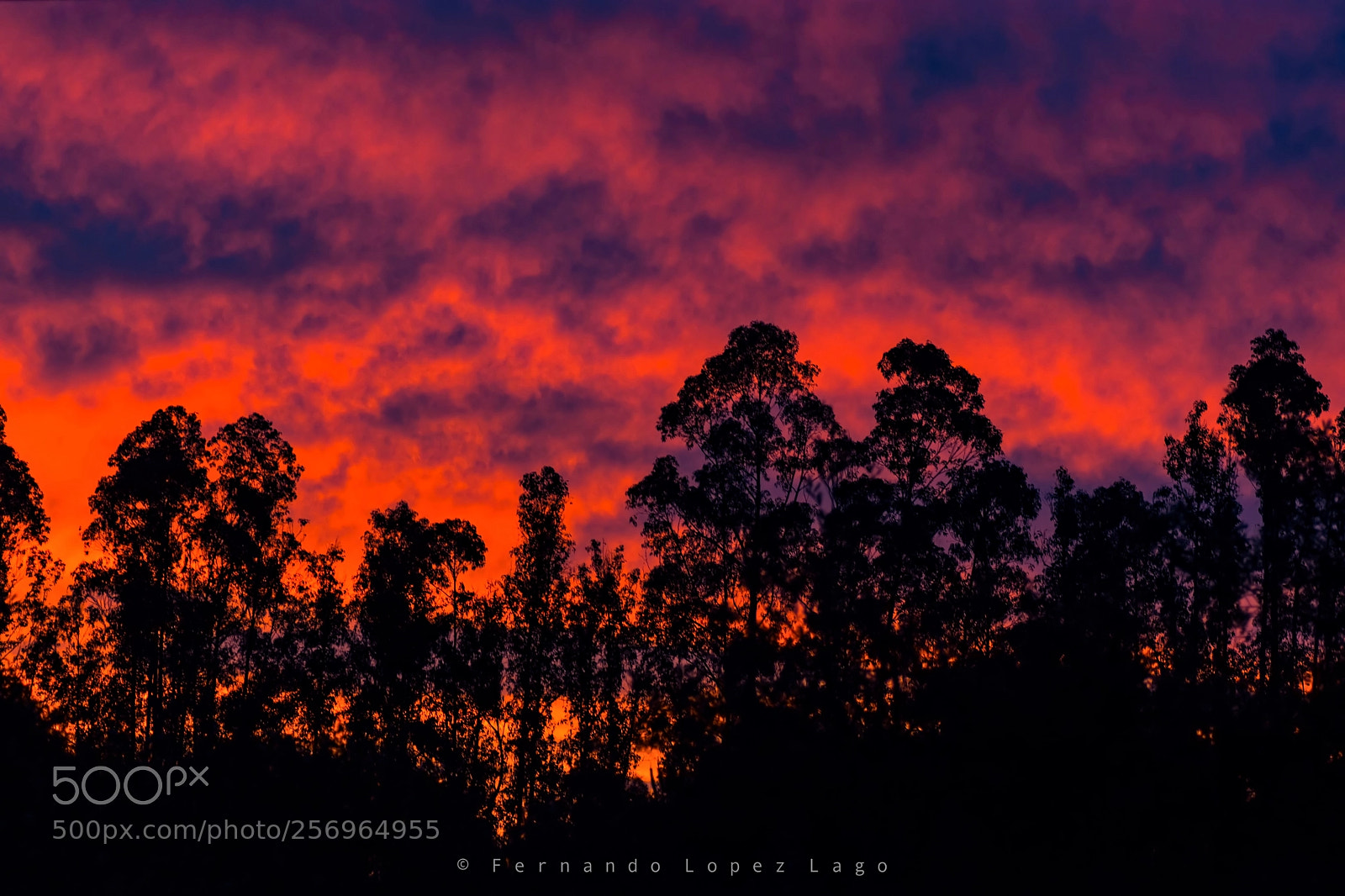 Nikon D7200 sample photo. Sunset photography