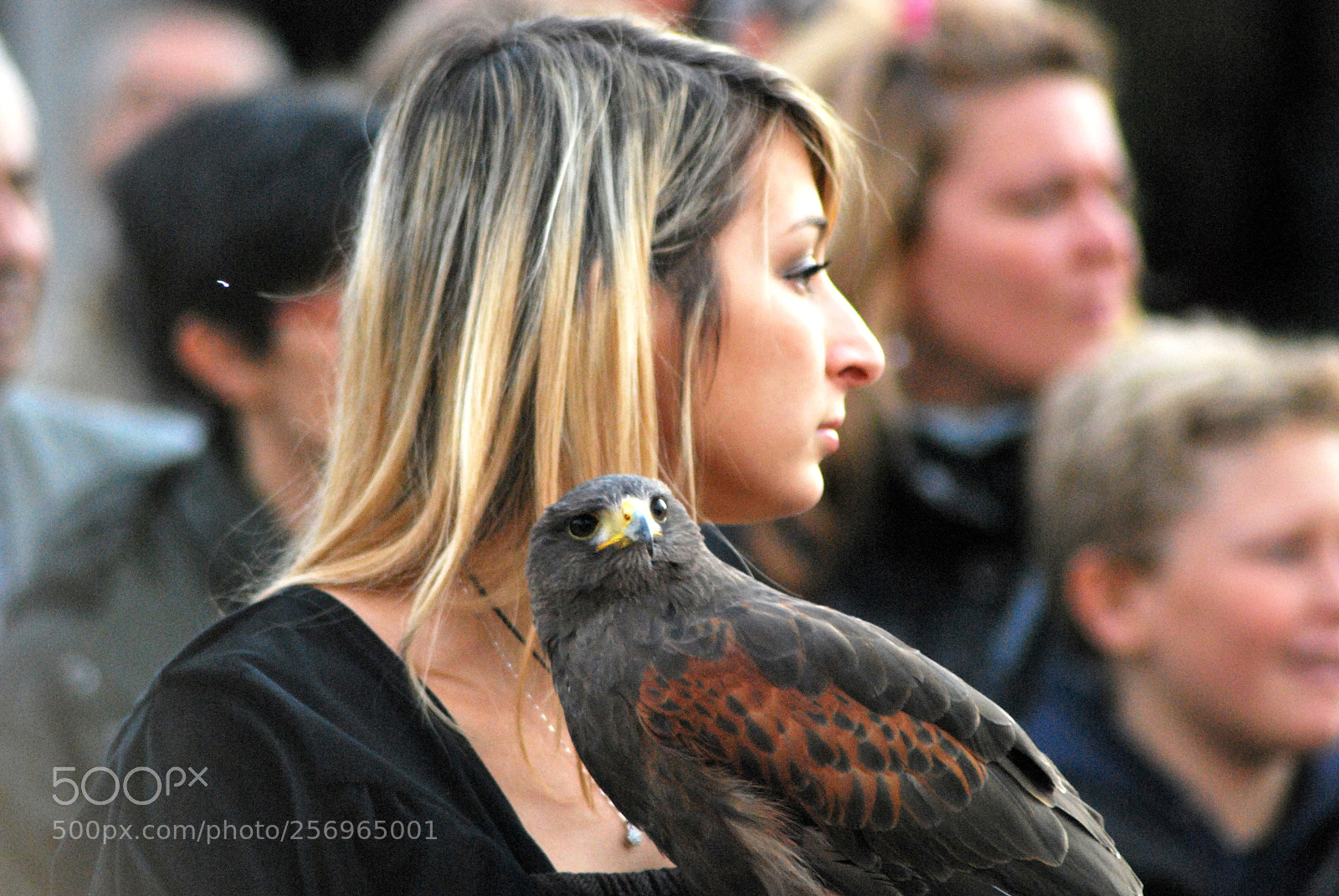 Nikon D60 sample photo. Version photography