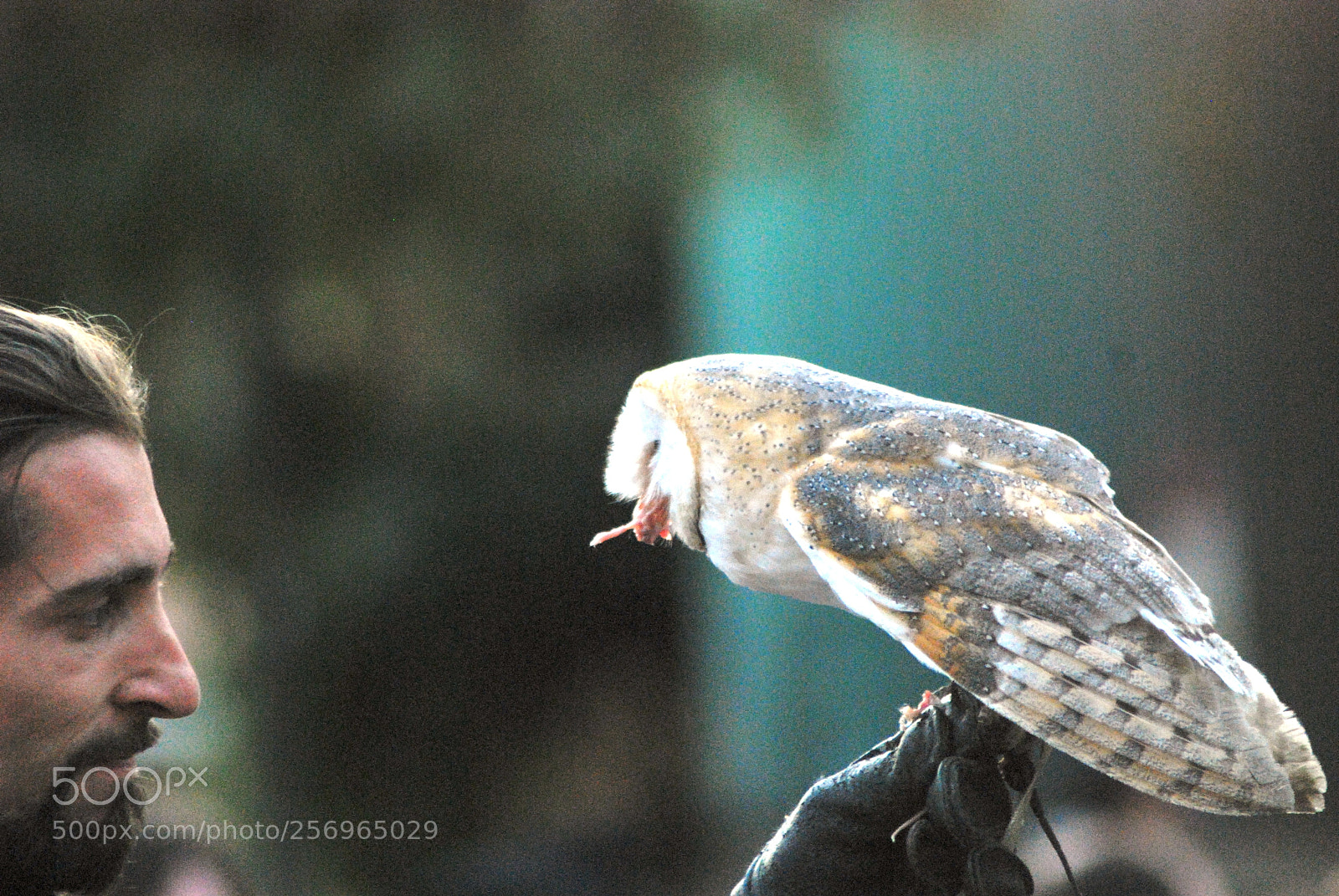 Nikon D60 sample photo. Version photography