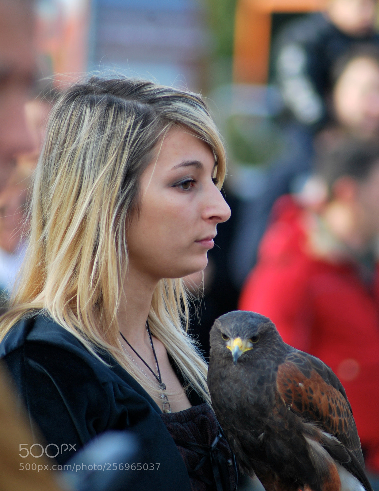 Nikon D60 sample photo. Version photography