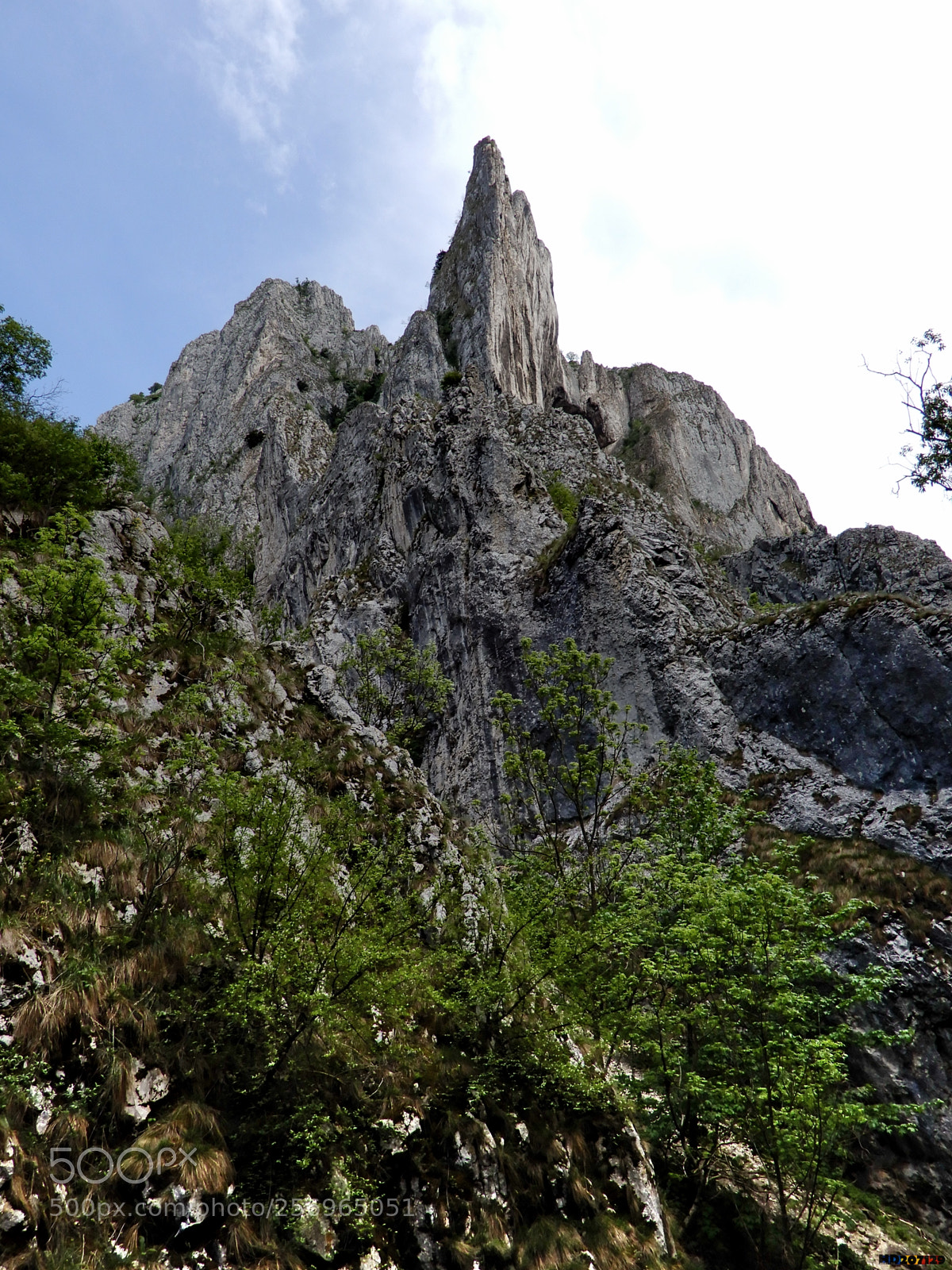 Nikon Coolpix A900 sample photo. Cheile turzii photography