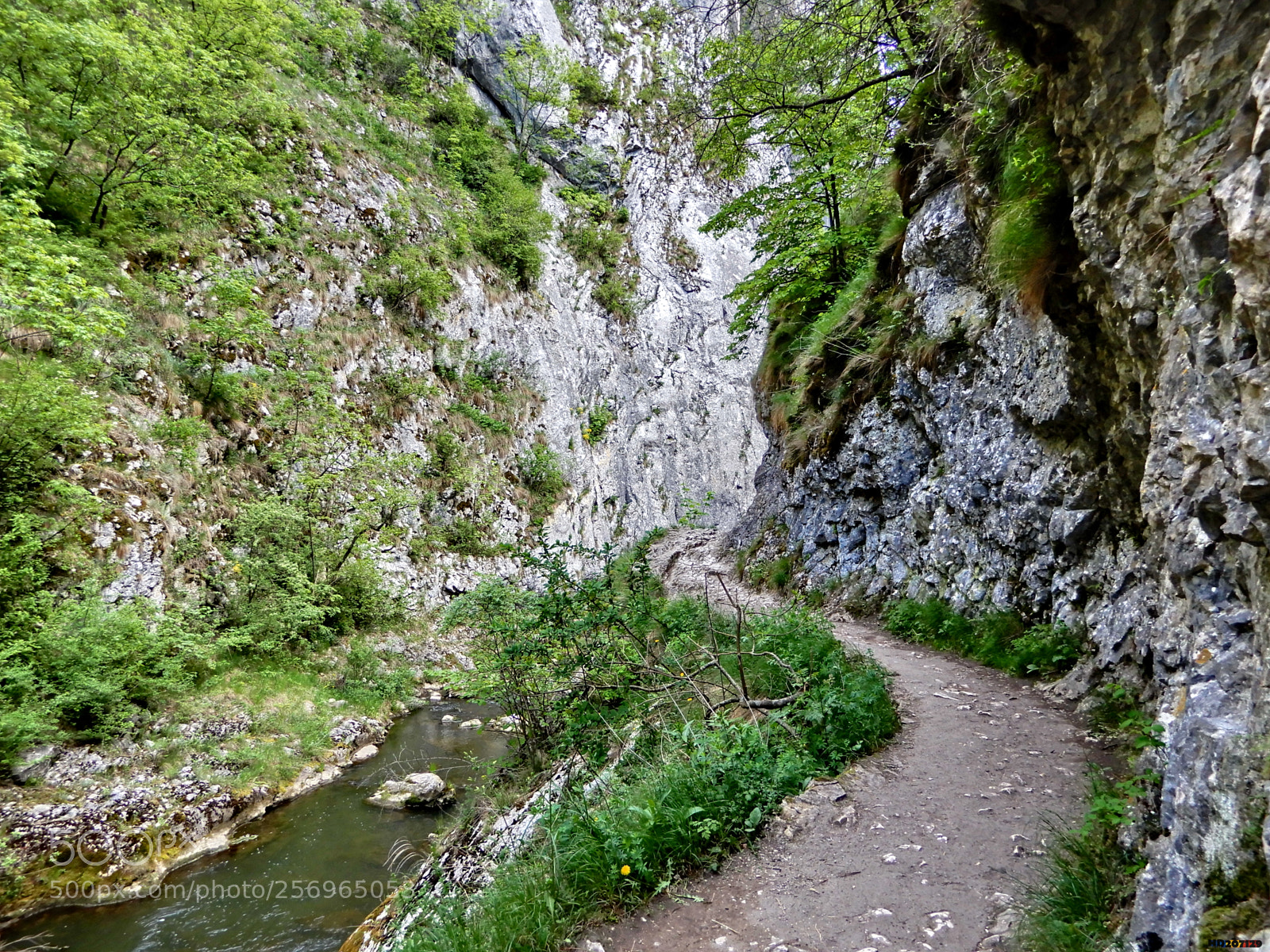 Nikon Coolpix A900 sample photo. Cheile turzii photography