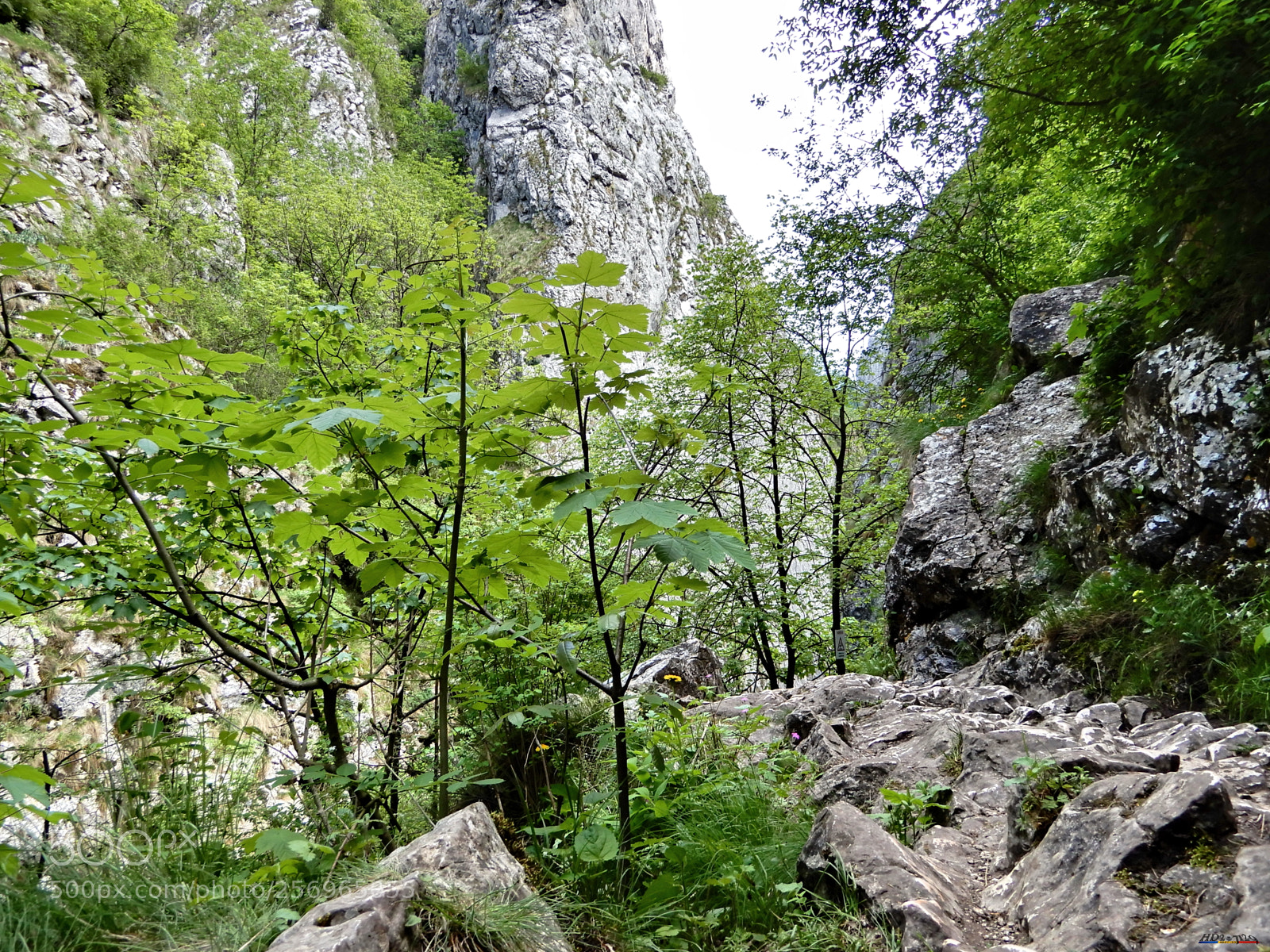 Nikon Coolpix A900 sample photo. Cheile turzii photography