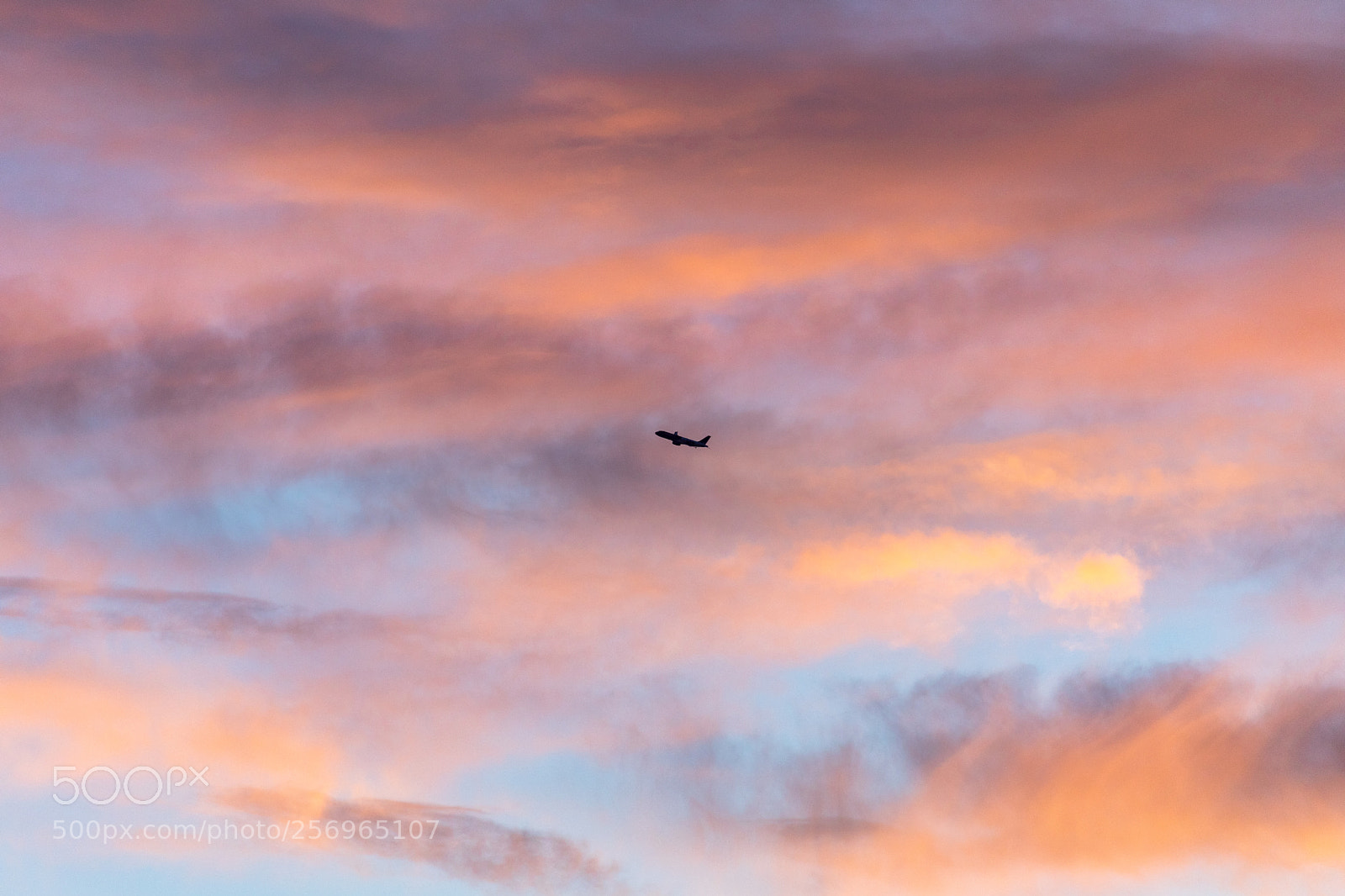 Canon EOS 5D Mark IV sample photo. Soaring through a sky photography