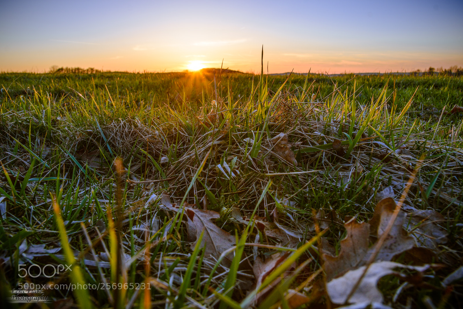 Nikon D7200 sample photo. Sunset photography