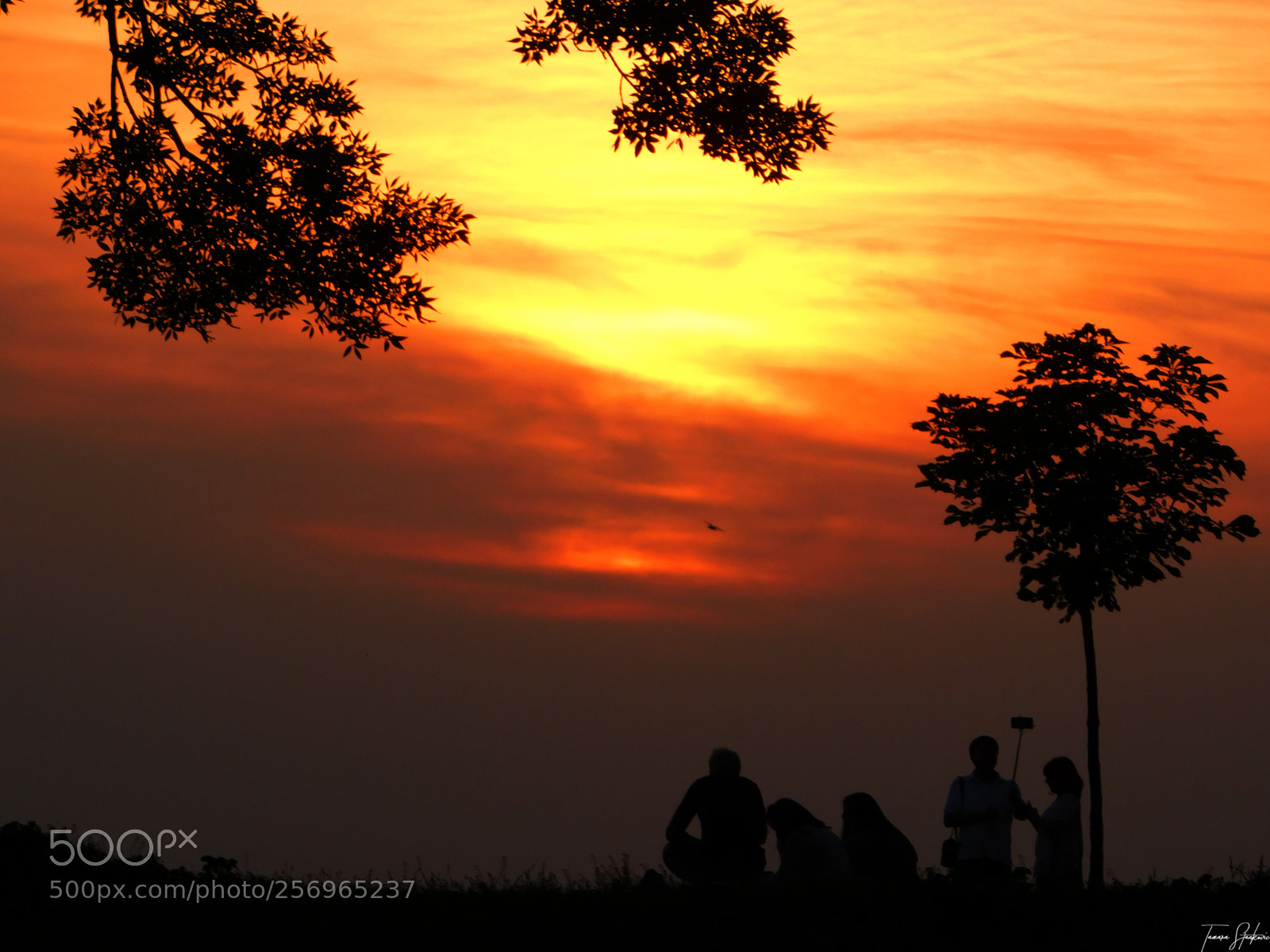 Nikon Coolpix B500 sample photo. Sunset in belgrade photography