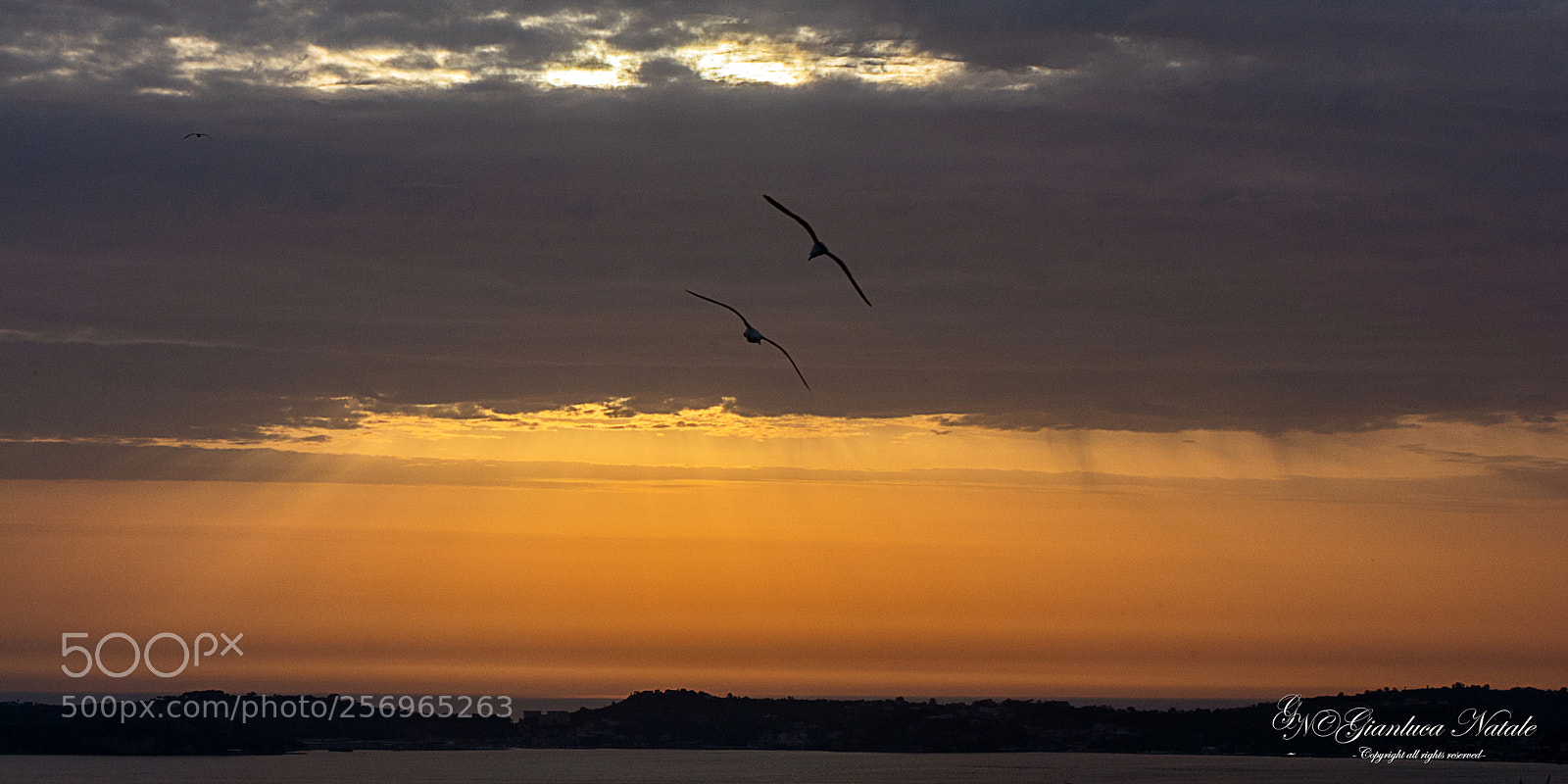 Nikon D7100 sample photo. Wonderful view of nisida photography