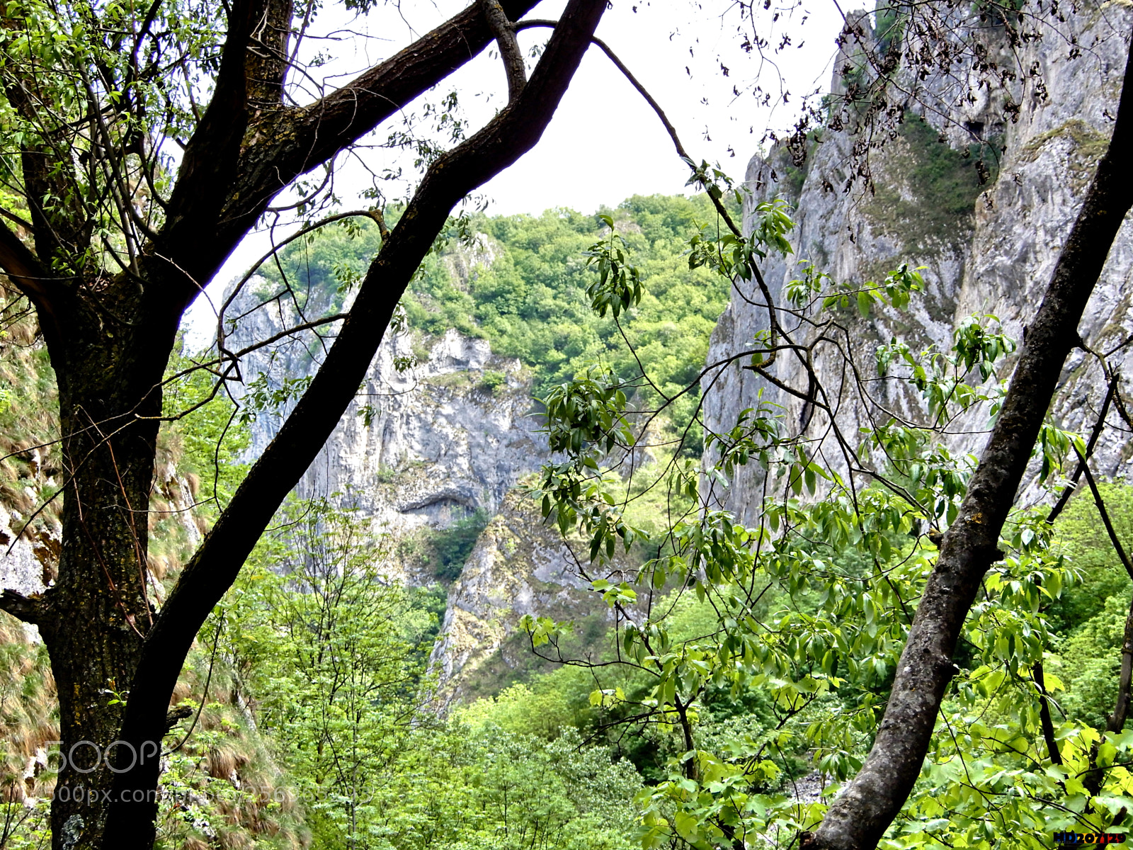 Nikon Coolpix A900 sample photo. Cheile turzii photography