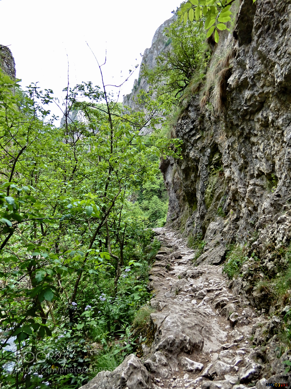 Nikon Coolpix A900 sample photo. Cheile turzii photography