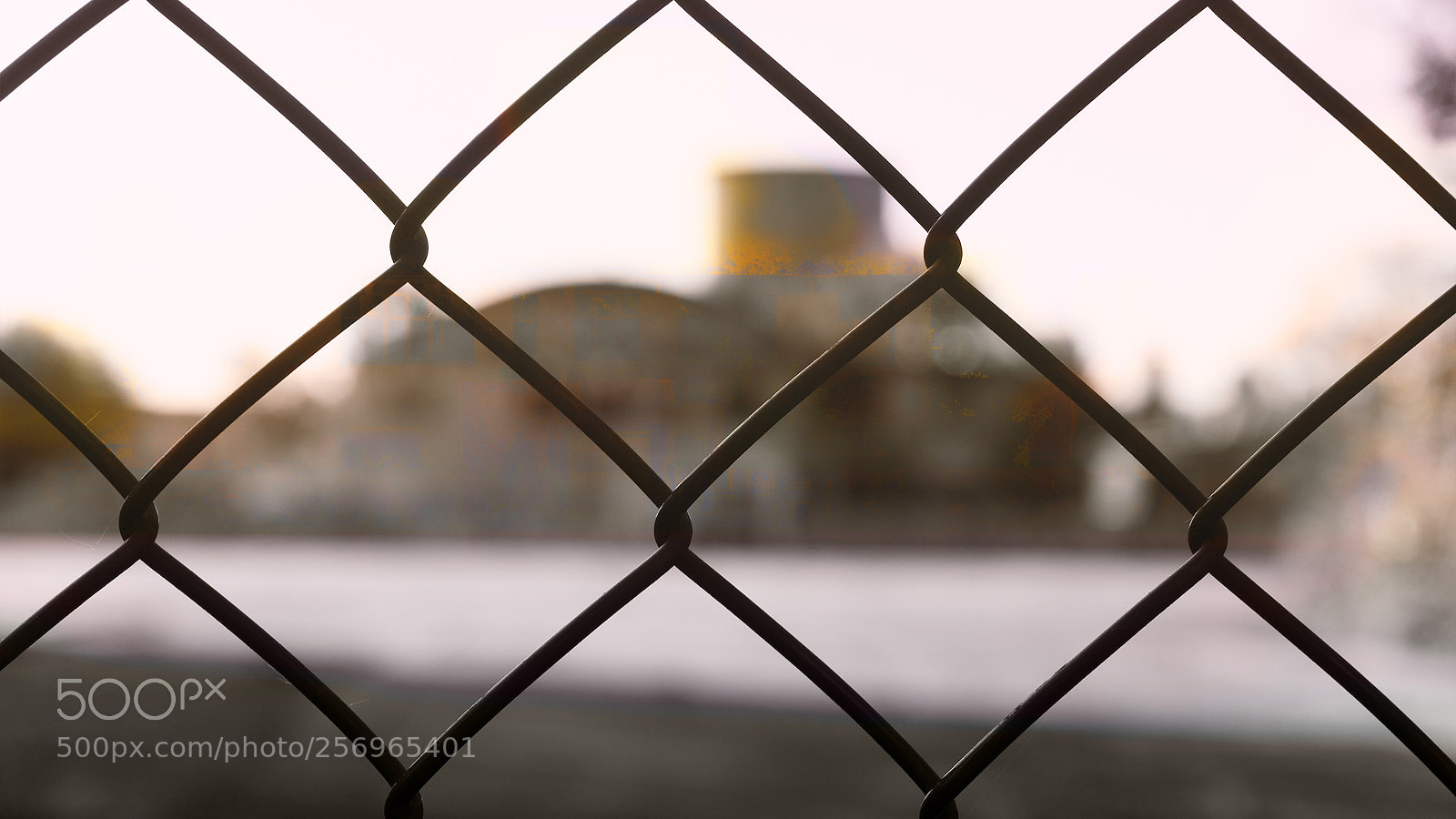 Sony a7 sample photo. Adlershof photography