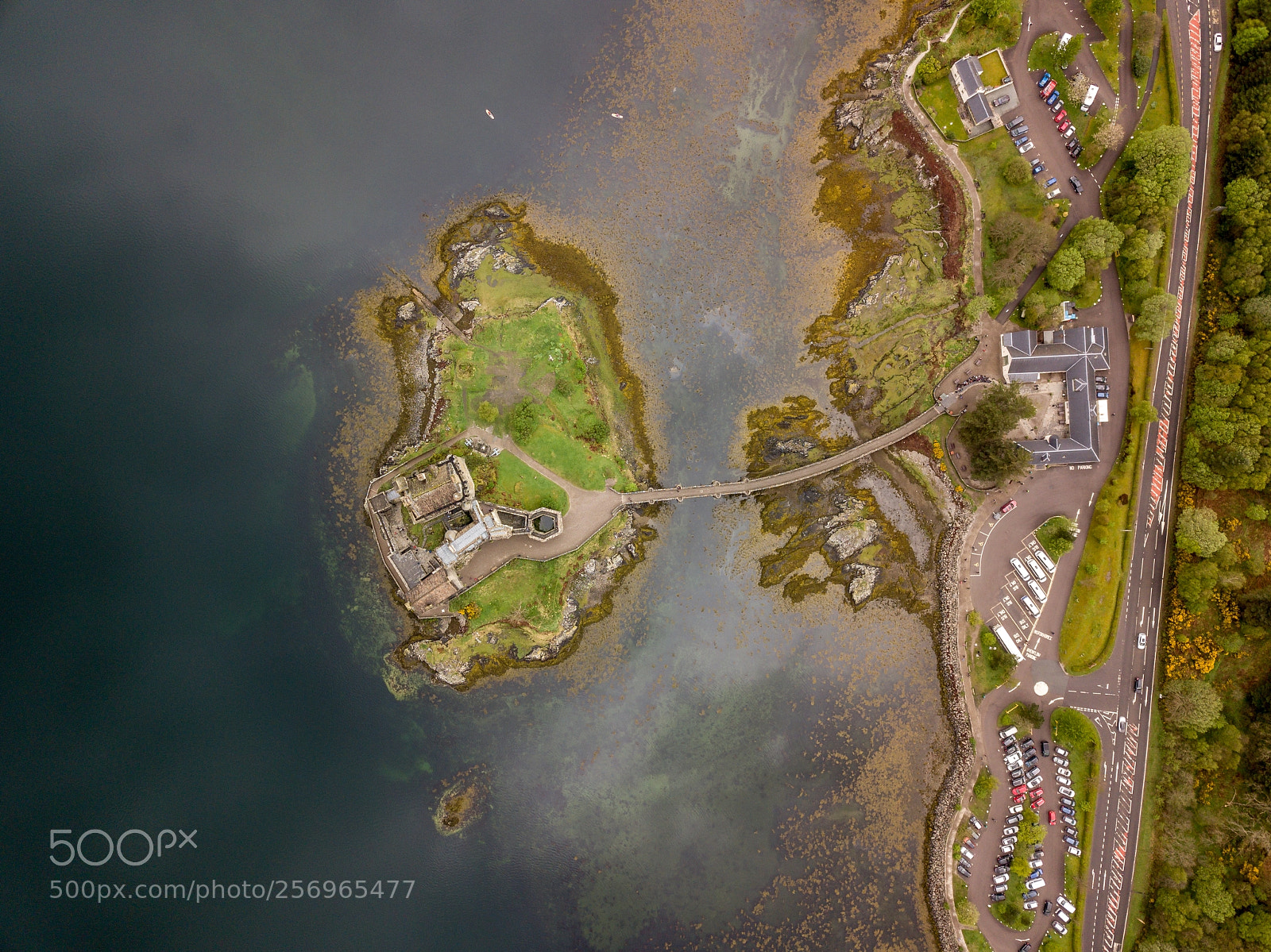 DJI FC220 sample photo. Castle in a tree photography