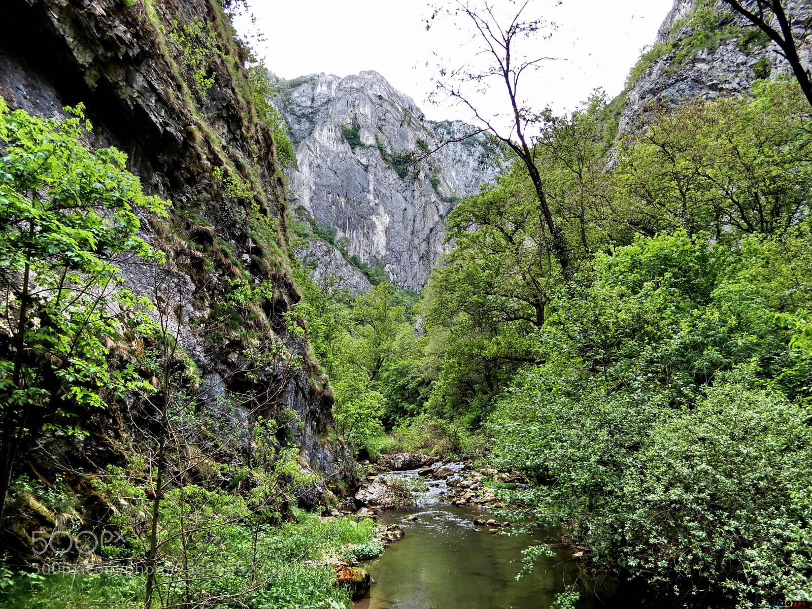 Nikon Coolpix A900 sample photo. Cheile turzii photography