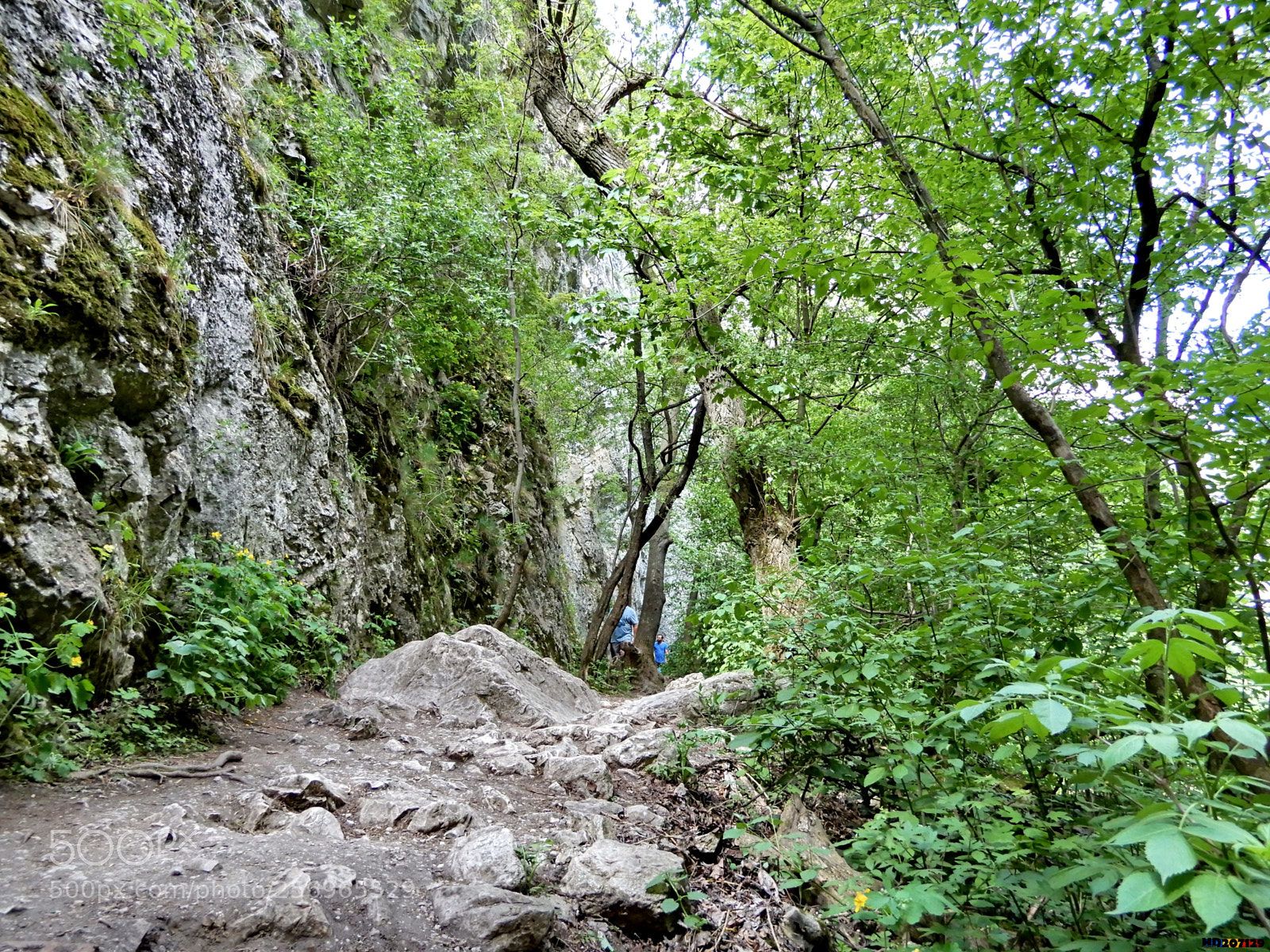 Nikon Coolpix A900 sample photo. Cheile turzii photography