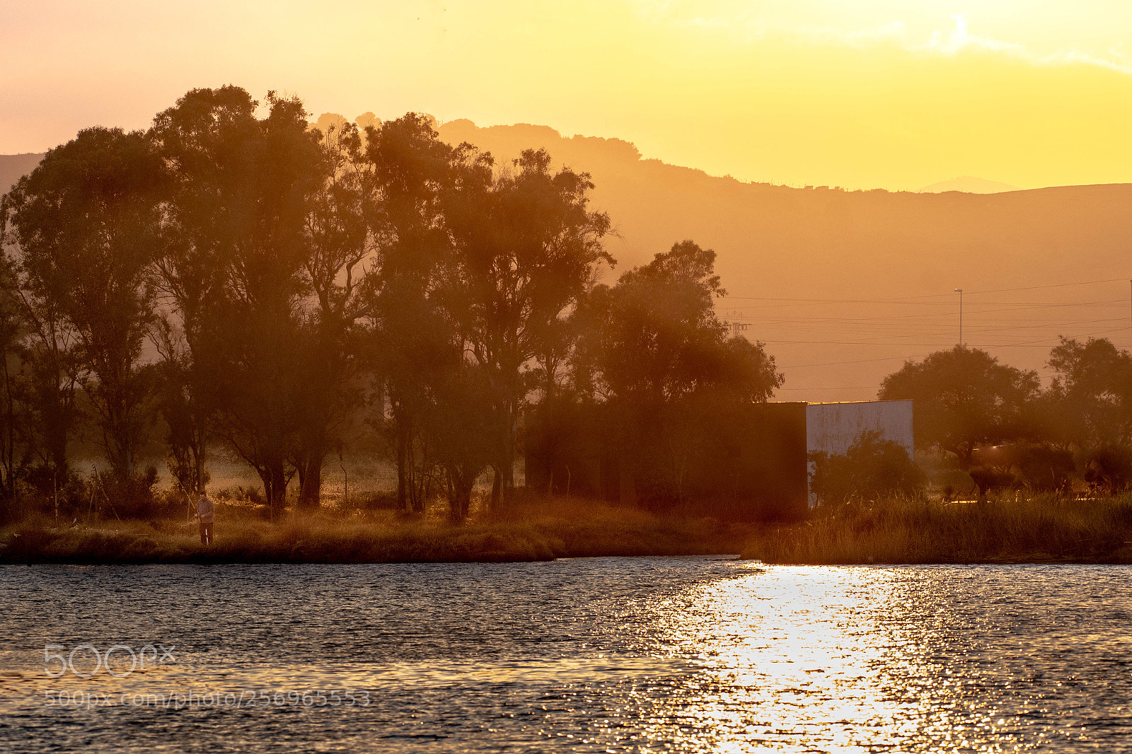 Nikon D500 sample photo. Fishing photography