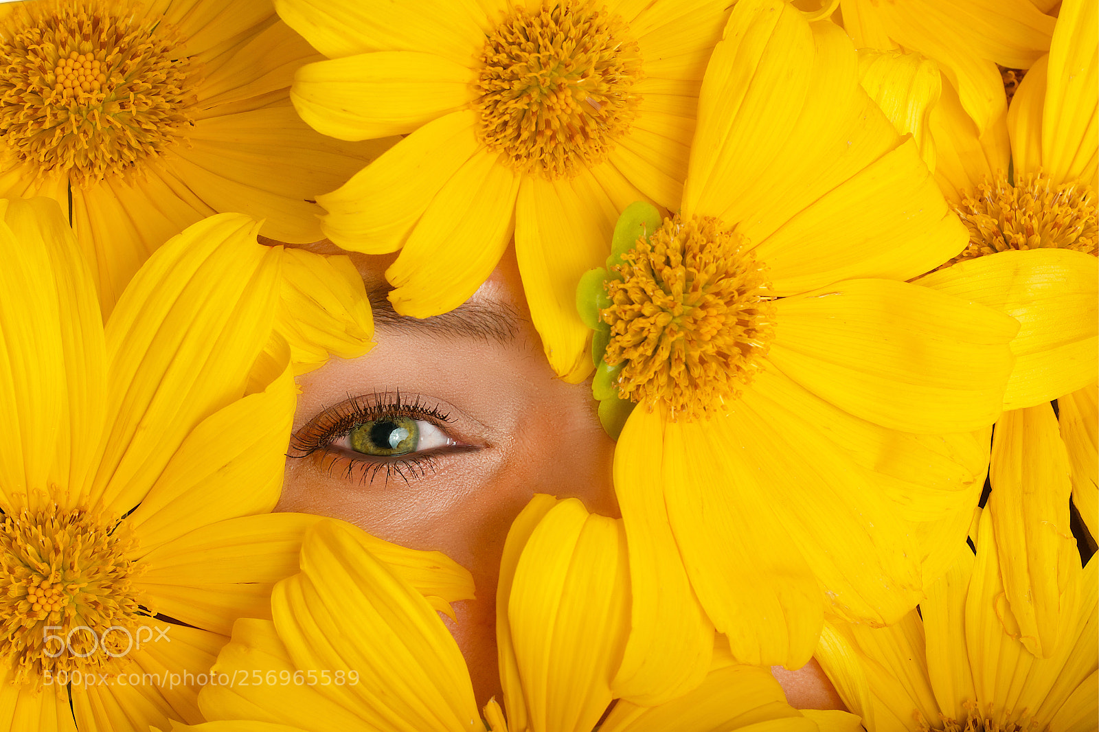 Fujifilm X-T2 sample photo. Lloviendo flores photography