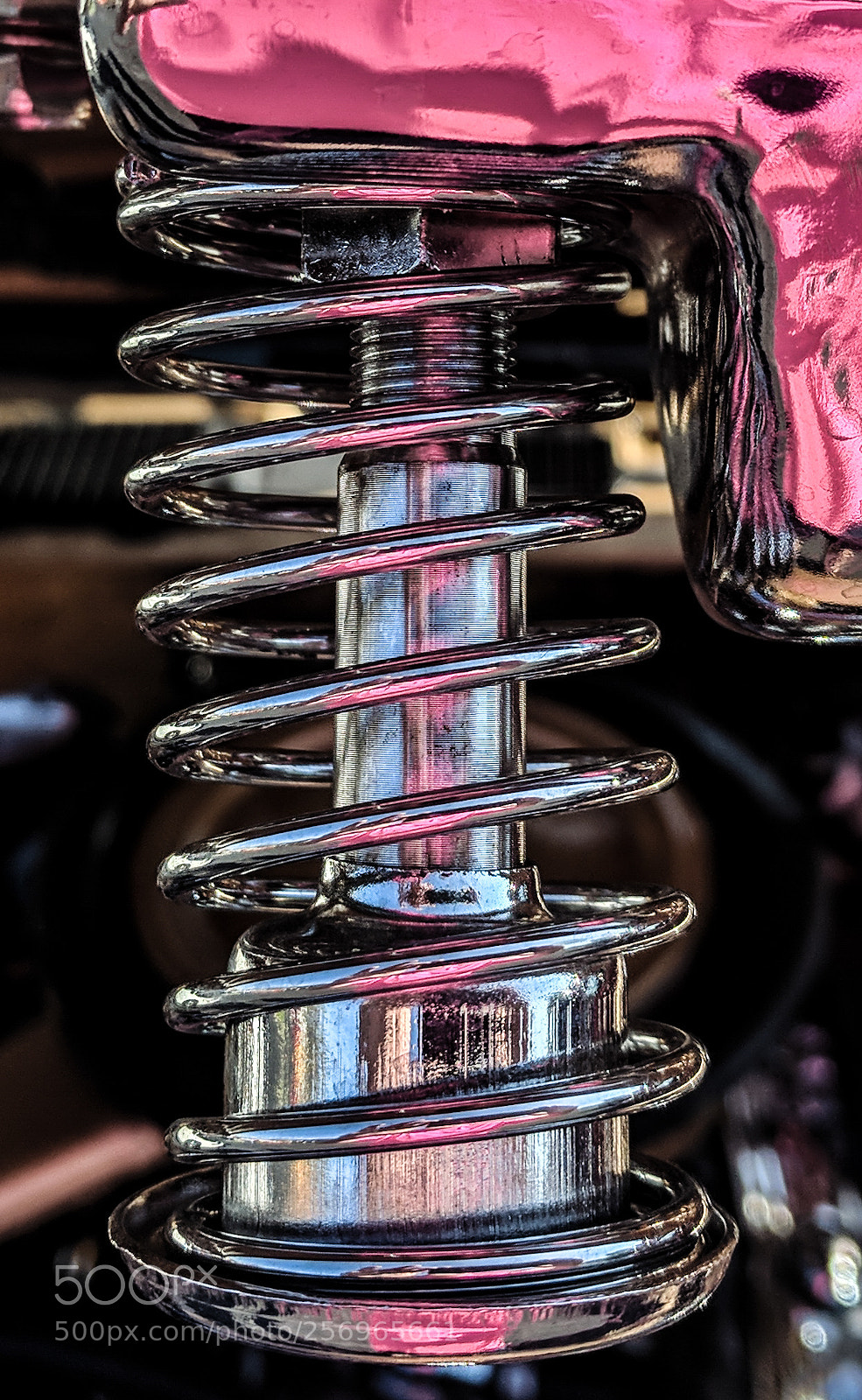 Google Pixel XL sample photo. Spring is sprung photography