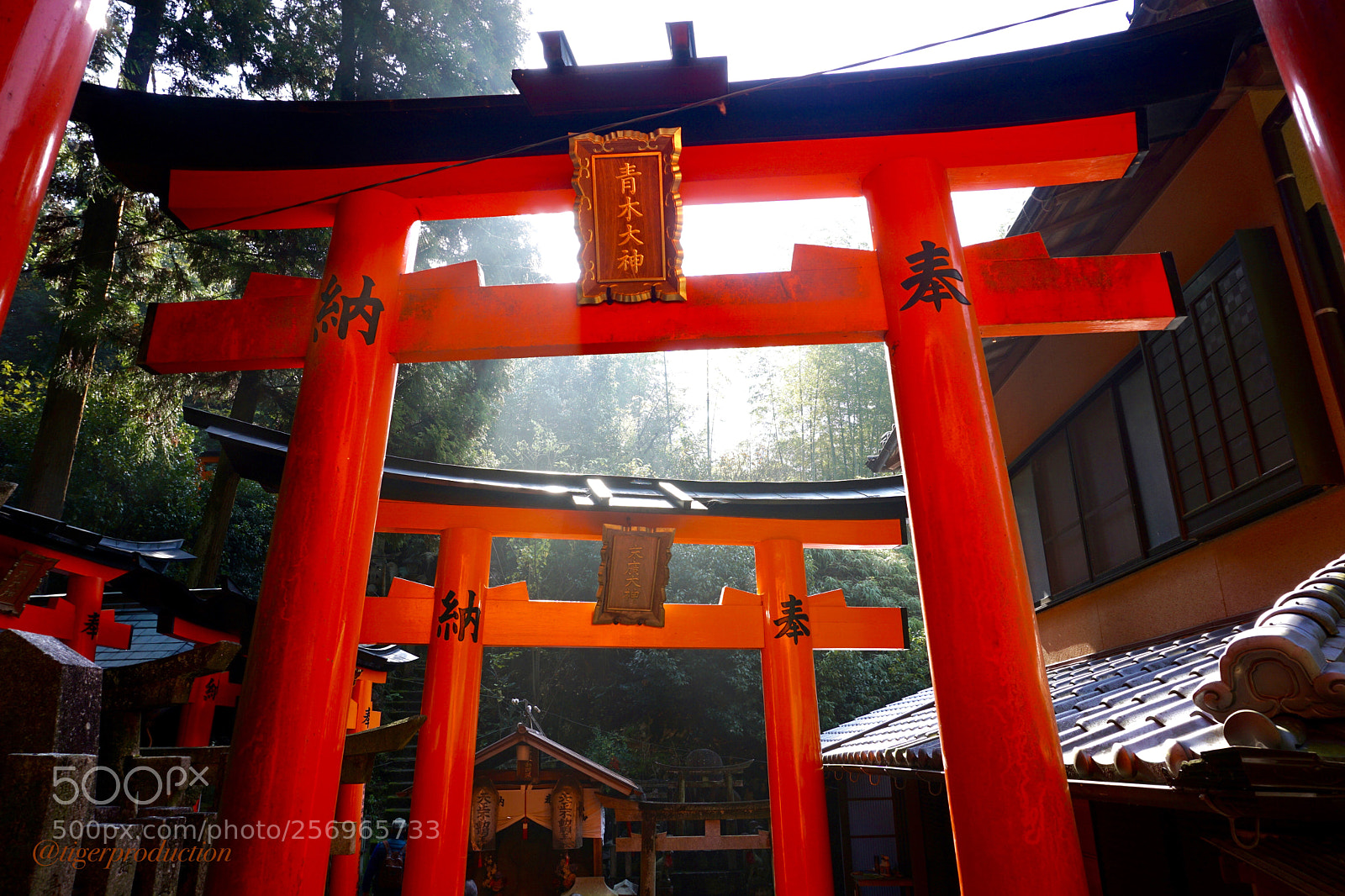 Sony a6000 sample photo. Lights in japan photography