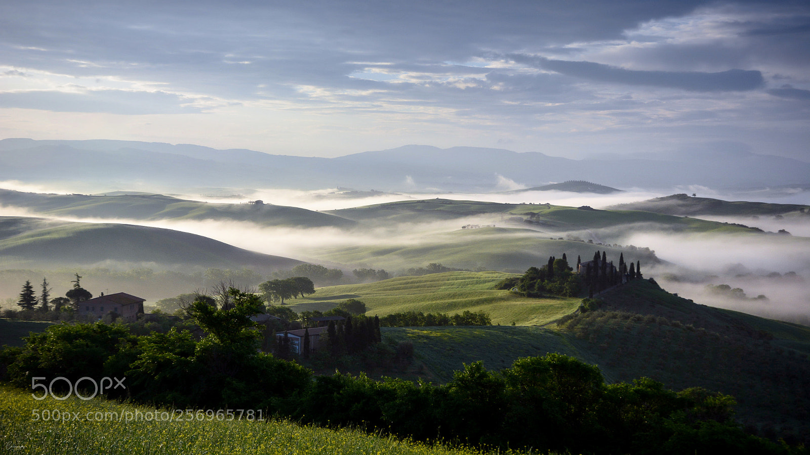 Nikon D7100 sample photo. Belvedere photography