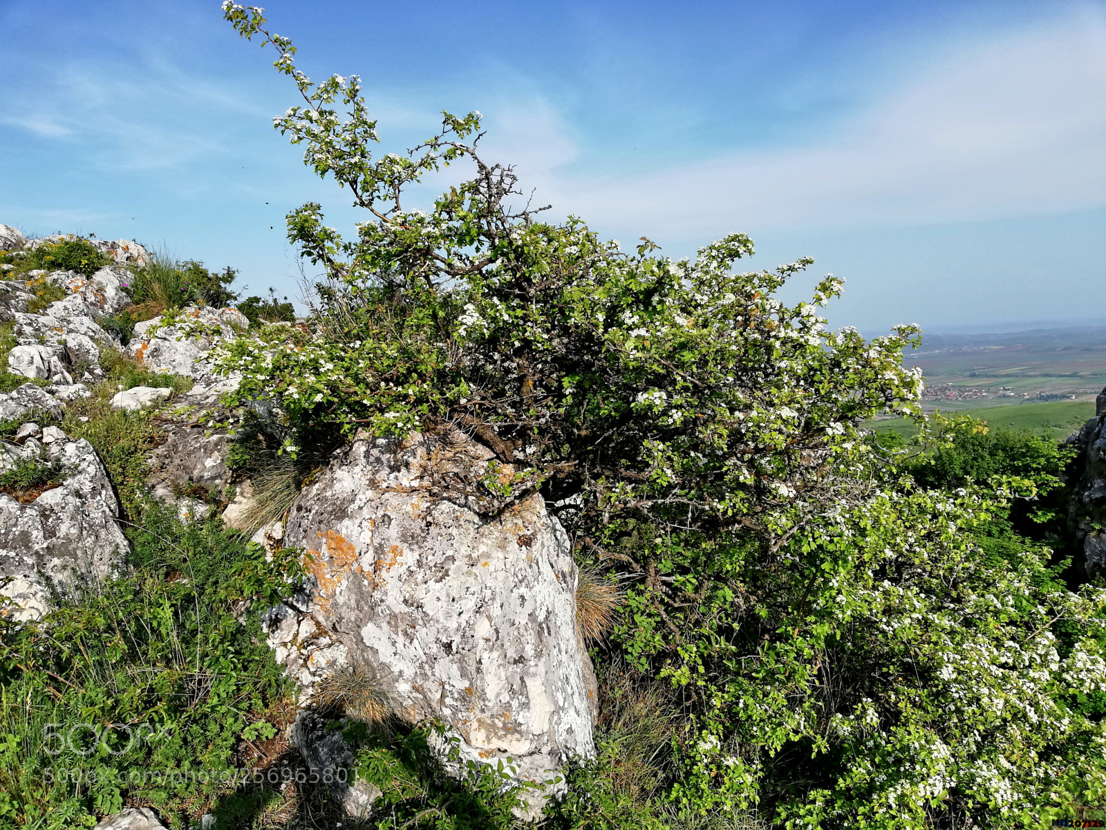 HUAWEI P20 lite sample photo. Cheile turzii photography