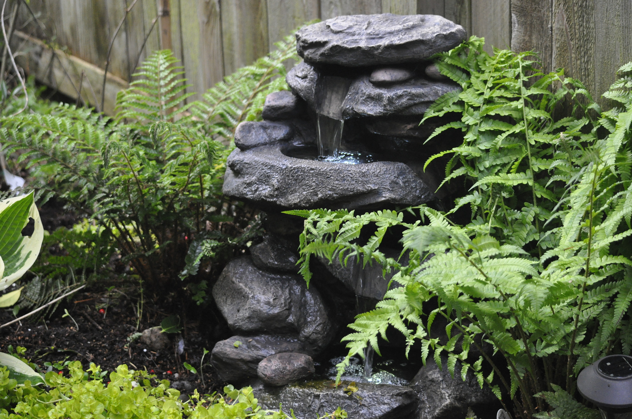 Nikon D90 sample photo. Water fountain photography