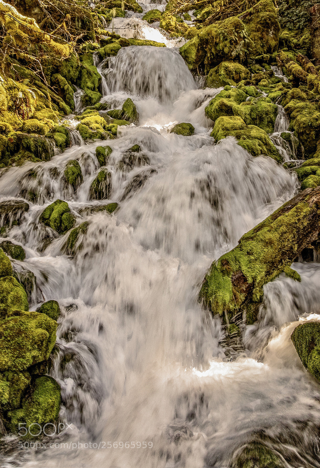 Canon EOS 7D Mark II sample photo. Cascade photography