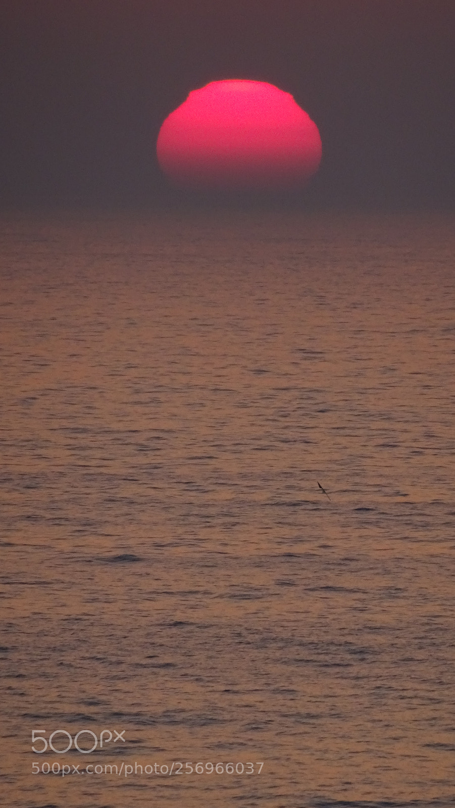Sony DSC-HX60V sample photo. Sunrise photography