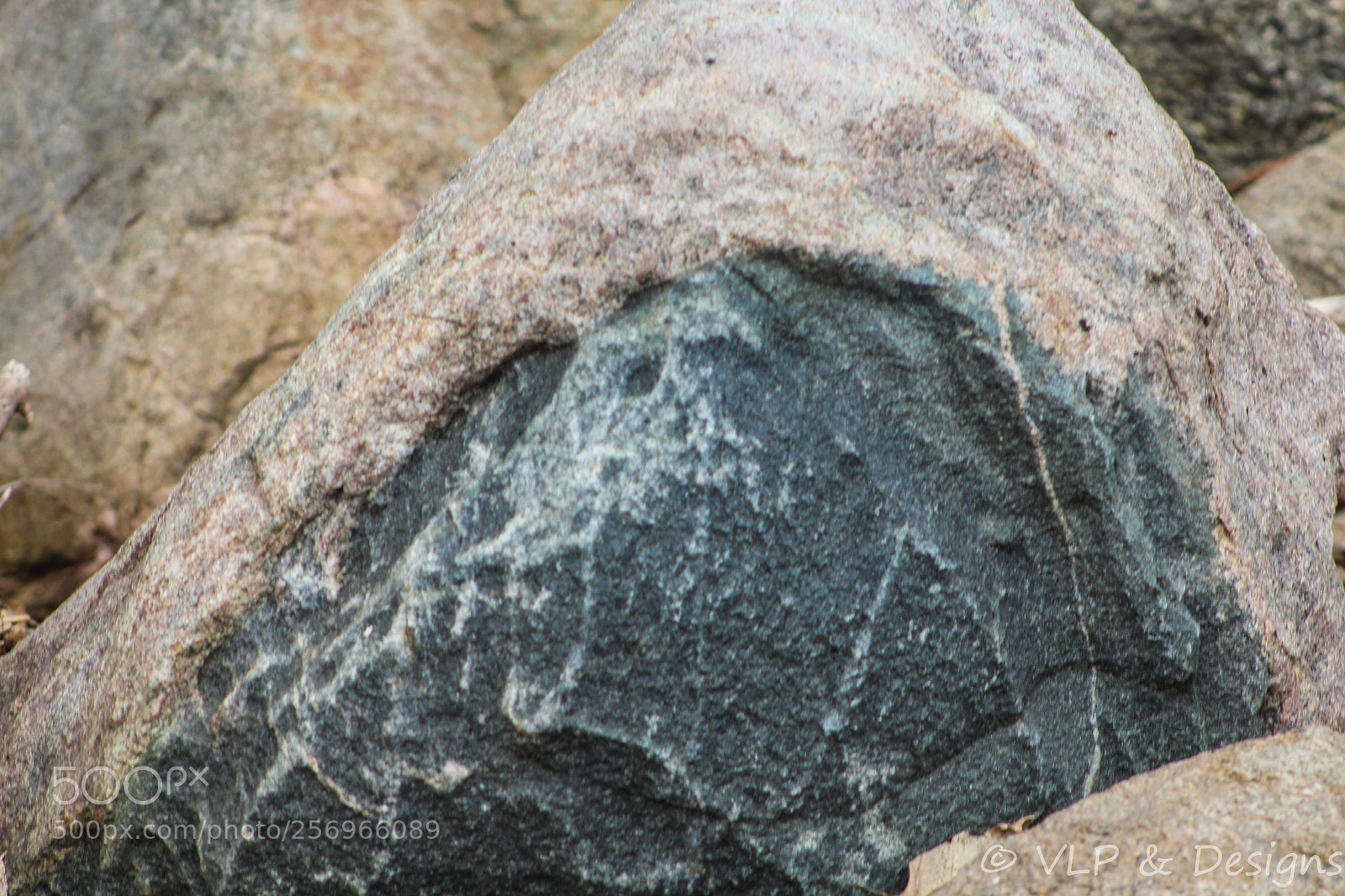 Canon EOS 1200D (EOS Rebel T5 / EOS Kiss X70 / EOS Hi) sample photo. Humpback photography