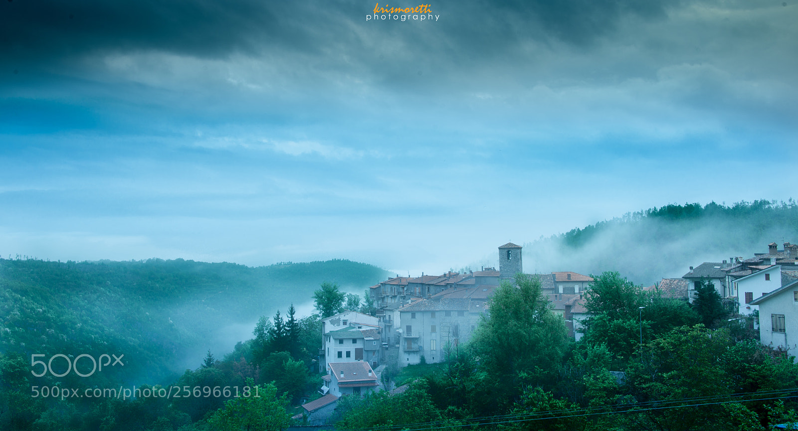 Nikon D600 sample photo. The fog photography