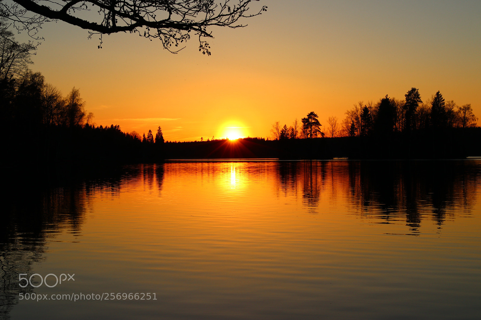 Canon EOS 80D sample photo. Sunset  photography
