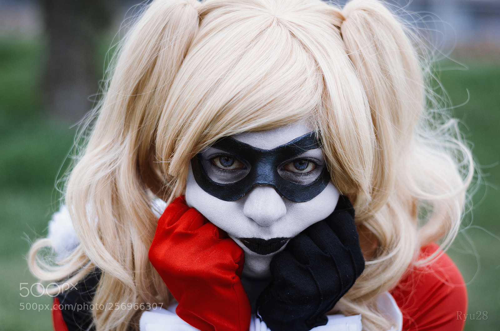Nikon D5100 sample photo. Harley photography