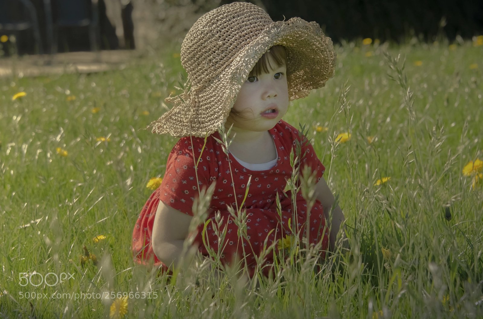 Nikon D5100 sample photo. Childhood innocense ! photography