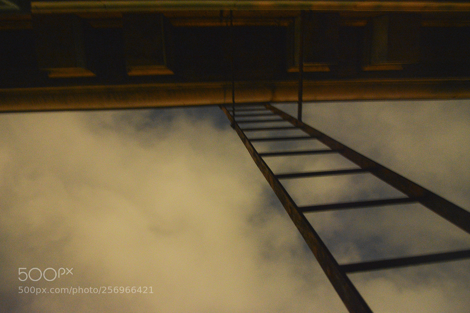 Nikon D7100 sample photo. Going backwards photography