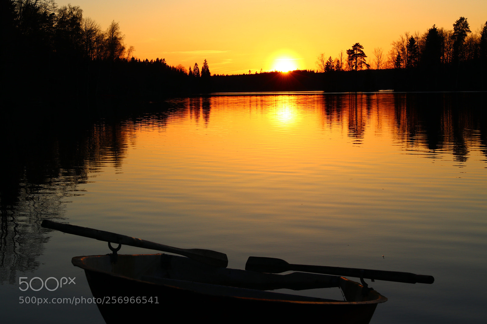 Canon EOS 80D sample photo. Lake sunset  photography