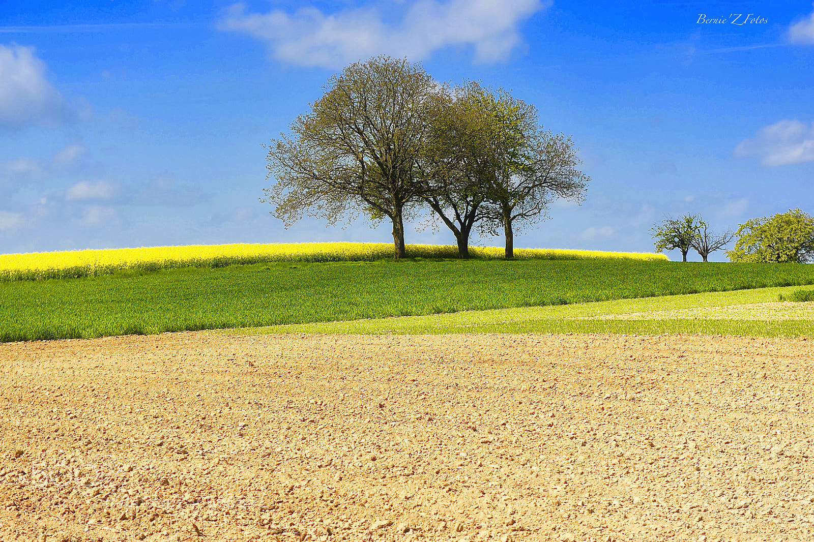 Nikon D750 sample photo. United colors of springtime photography
