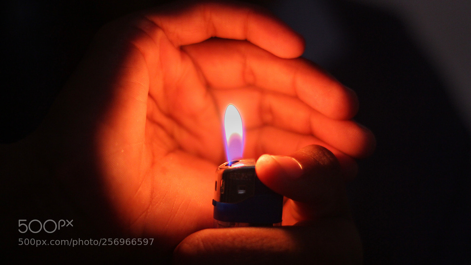 Canon EOS 60D sample photo. Enlightment photography