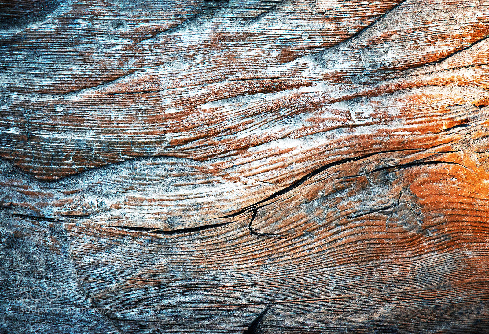 Nikon D5500 sample photo. Detail of old weathered photography