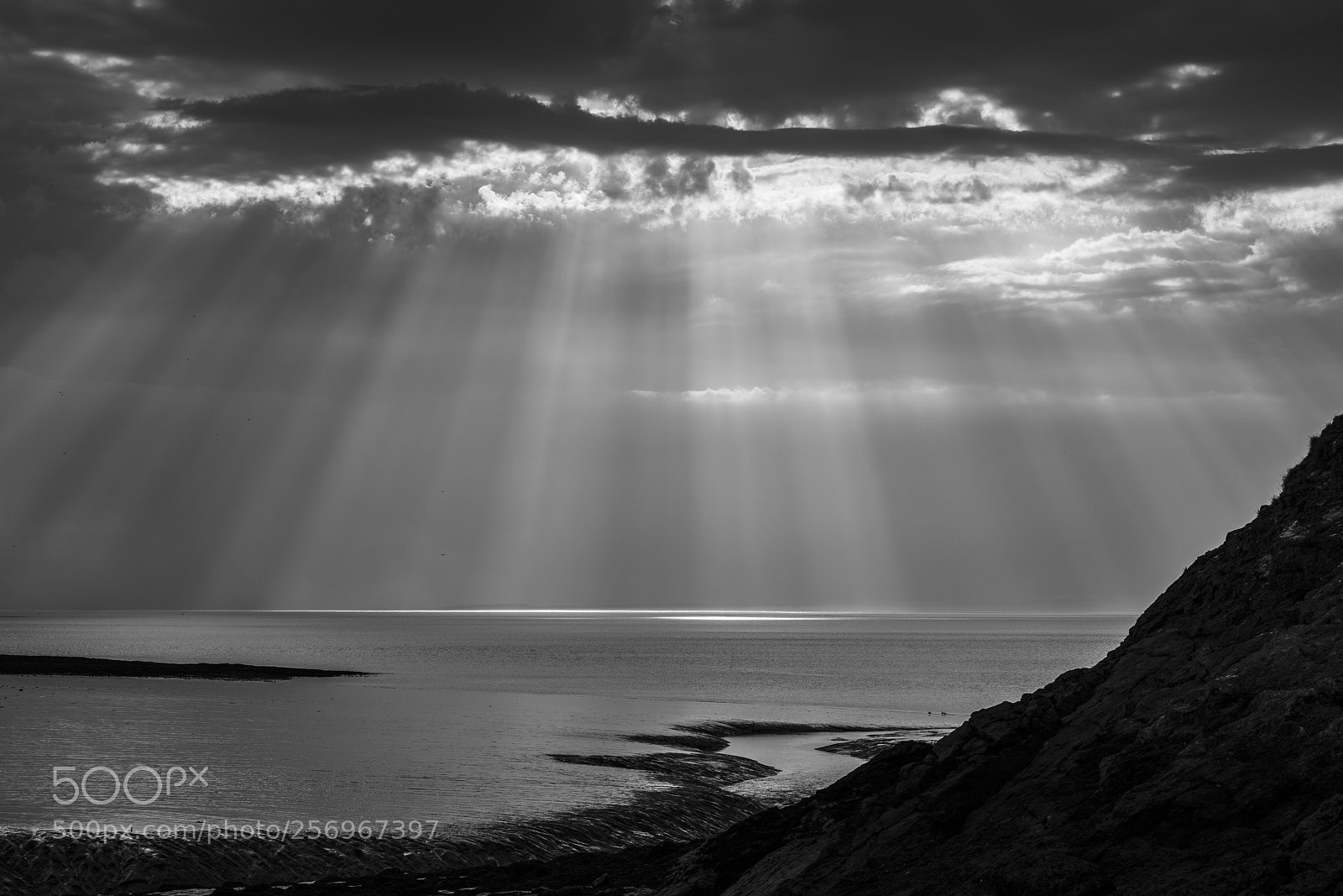 Sony a7R II sample photo. Clevedon photography