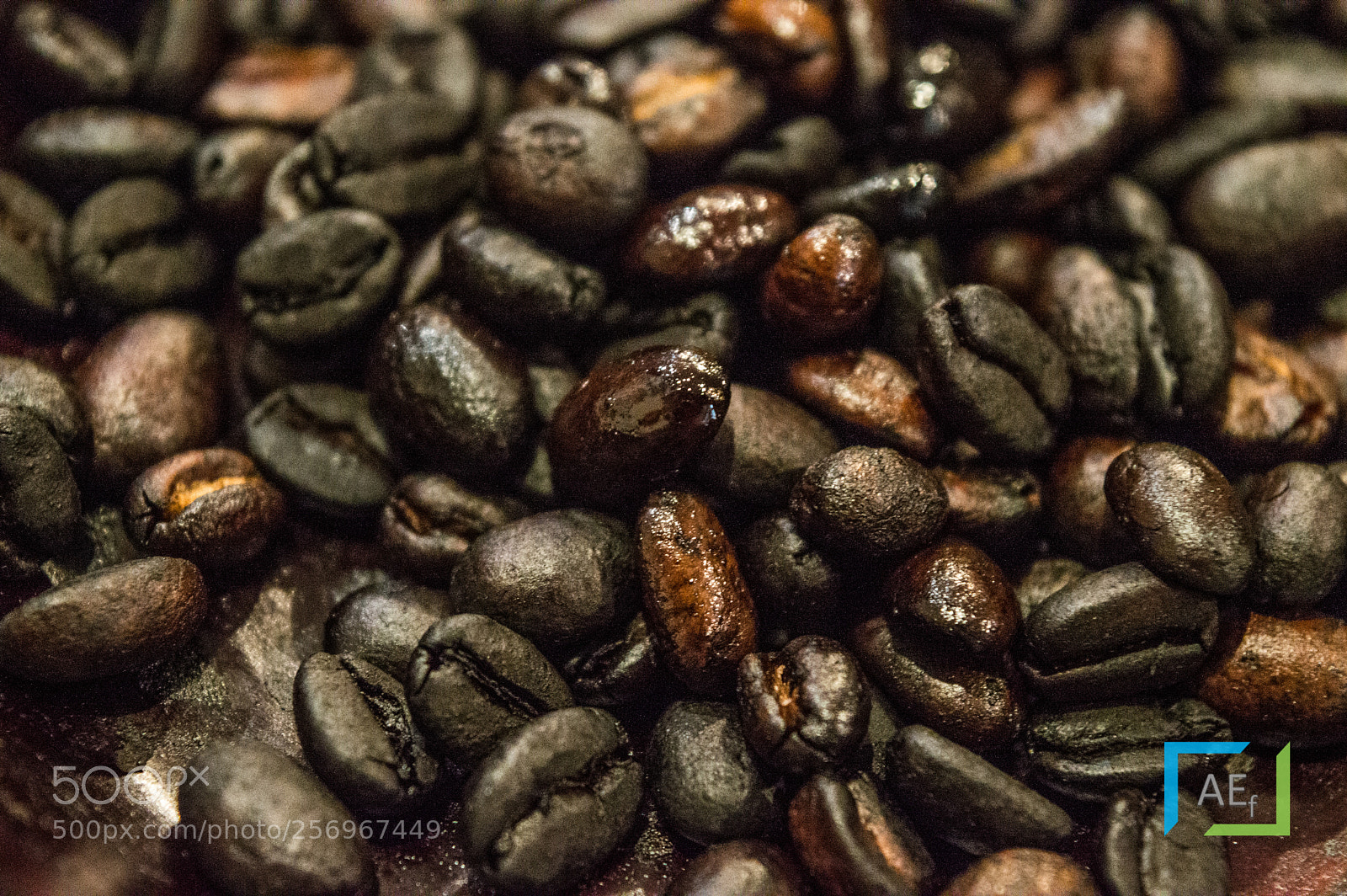 Nikon D3200 sample photo. Textures 1 photography