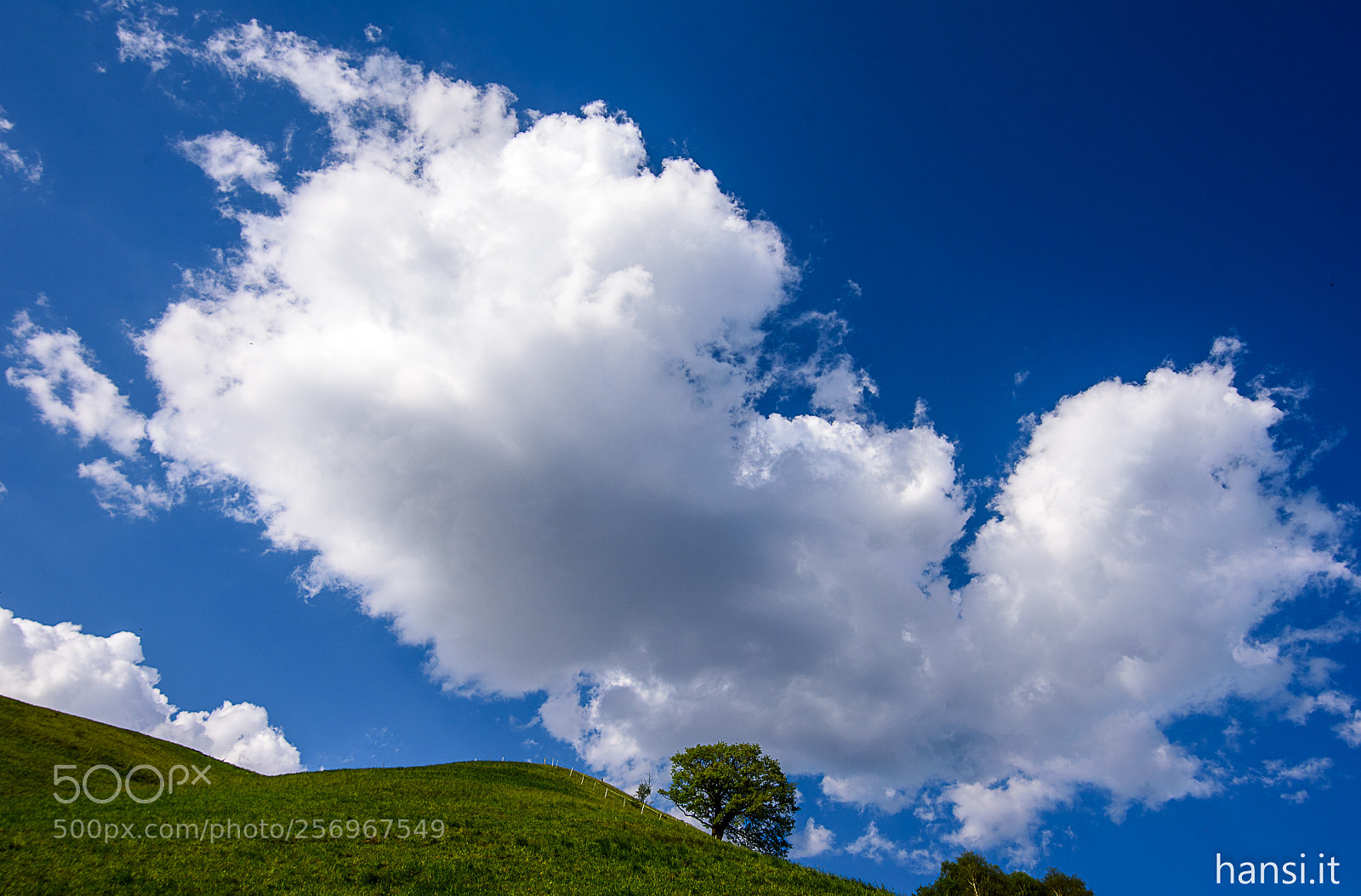Nikon D750 sample photo. Cloudscape with tree photography