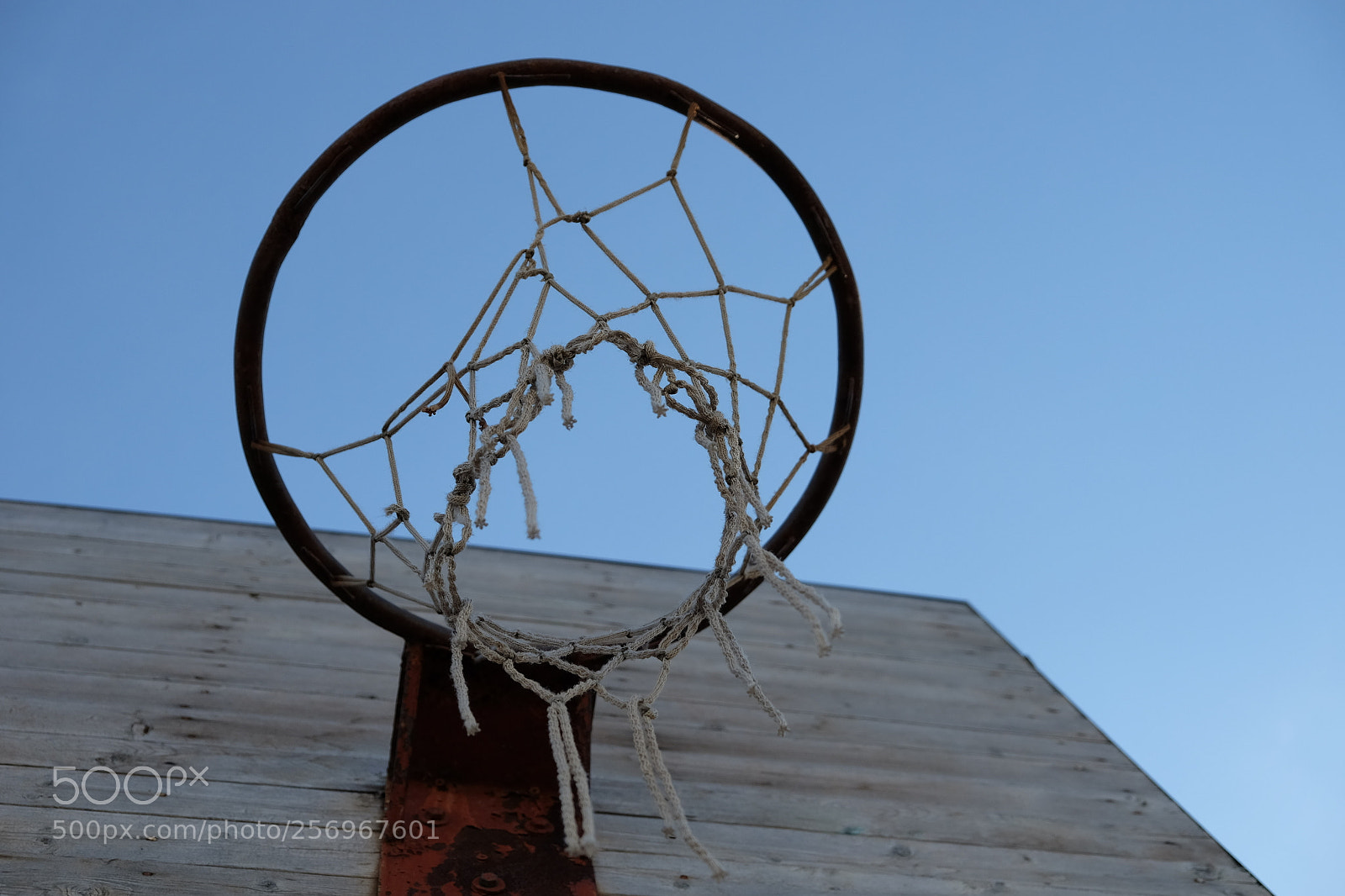 Fujifilm X-T10 sample photo. Basket photography