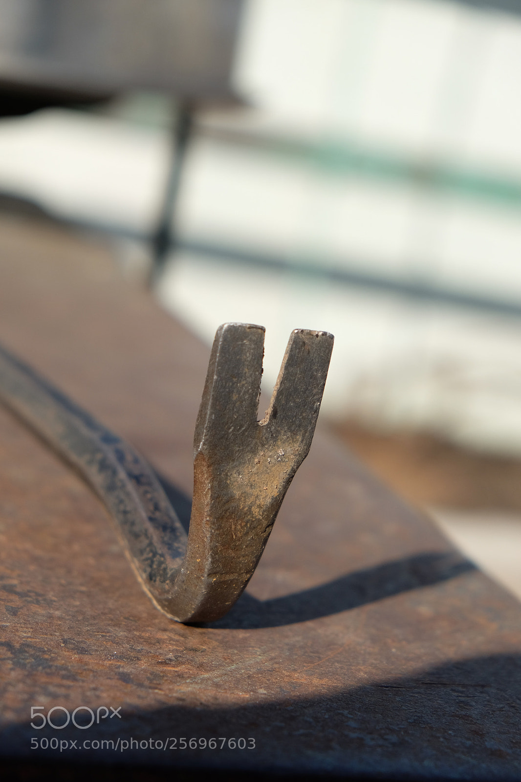 Fujifilm X-T10 sample photo. Nail puller photography
