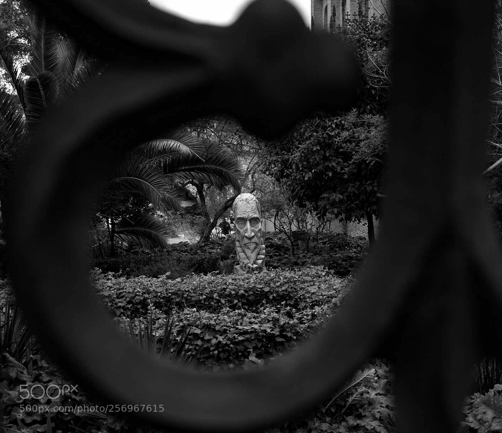 Fujifilm X-T2 sample photo. Park guard photography