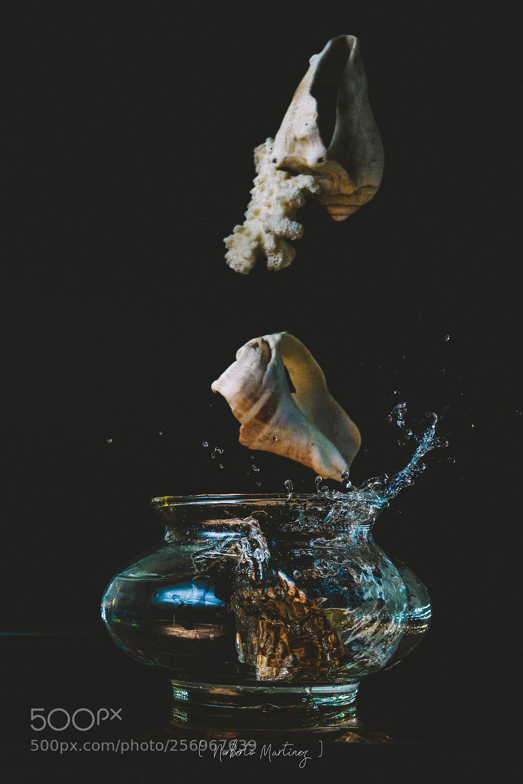 Nikon D5200 sample photo. Home aquarius photography