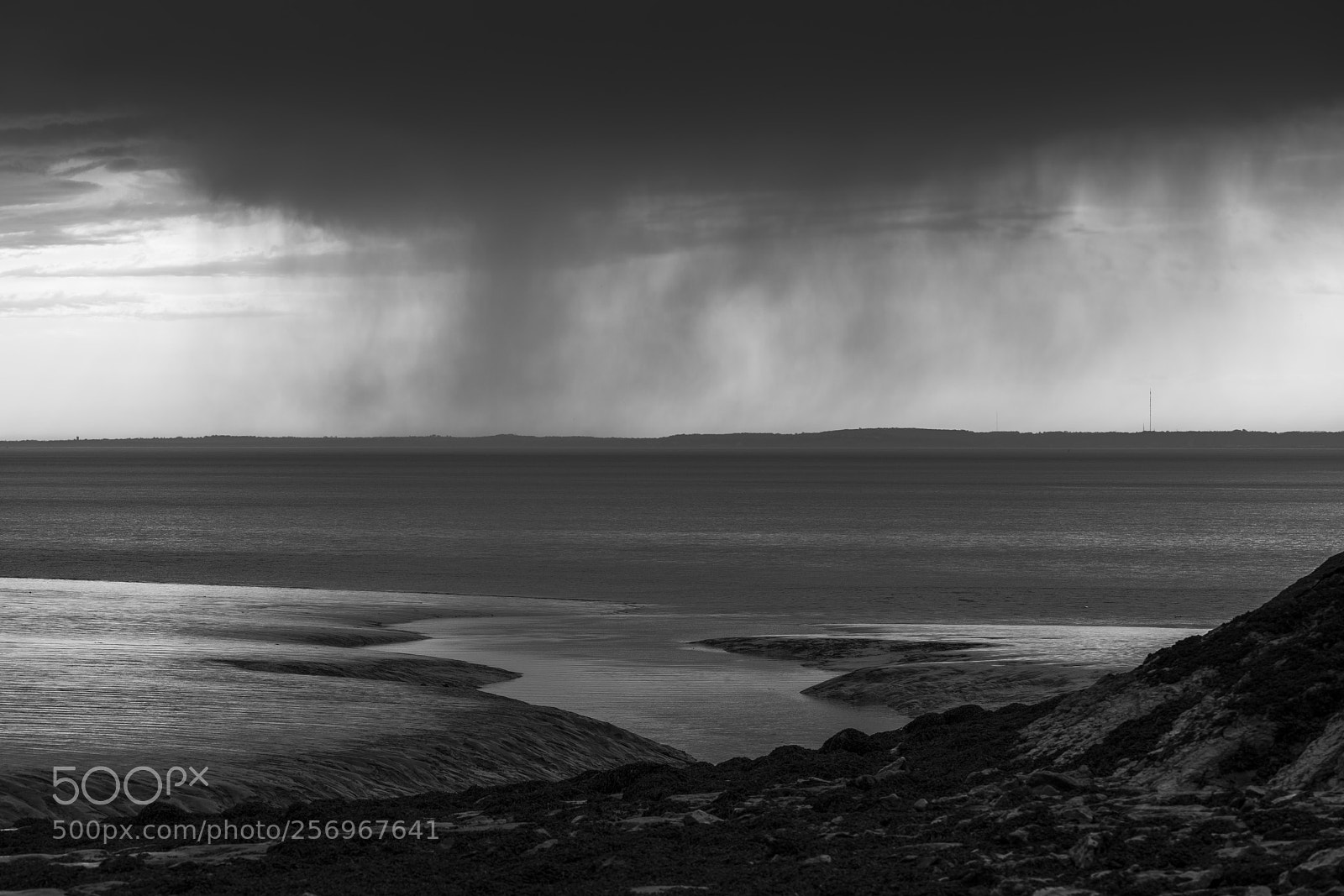 Sony a7R II sample photo. Clevedon photography