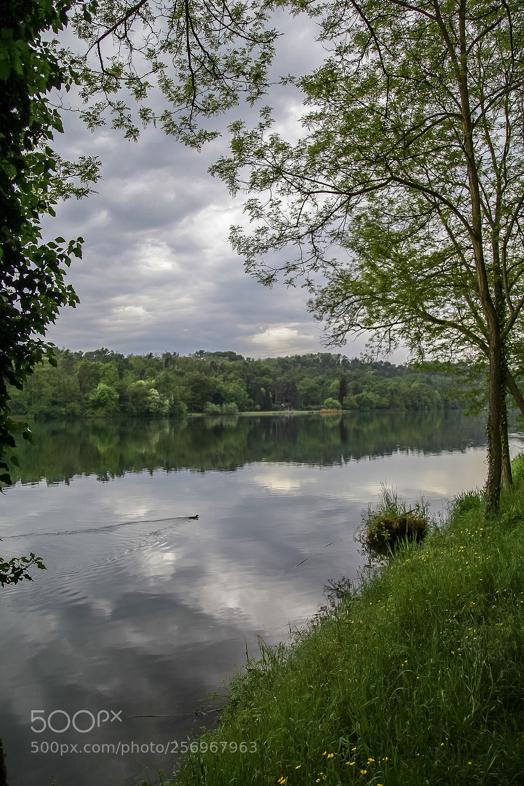 Canon EOS 5D Mark II sample photo. Untitled photography