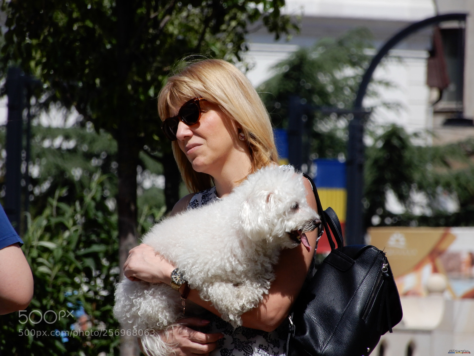 Nikon Coolpix A900 sample photo. Oradea photography
