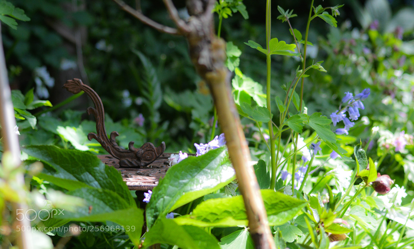 Nikon D3200 sample photo. Sundial photography